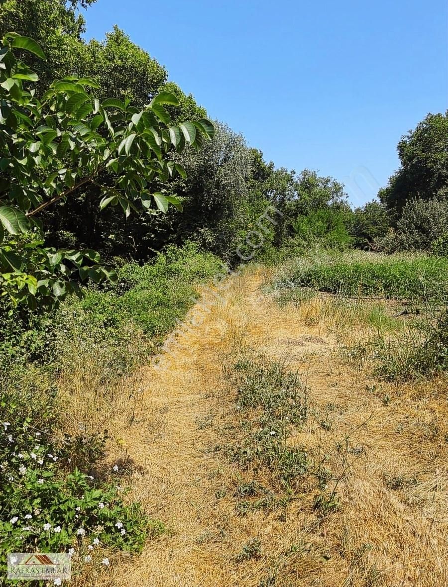 Derekadı 177 M2 Hobi Bahçesi - Görsel 15