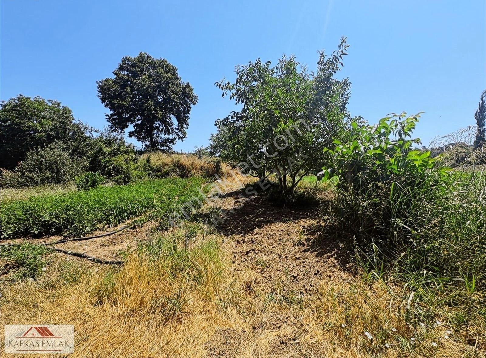 Derekadı 177 M2 Hobi Bahçesi - Görsel 2