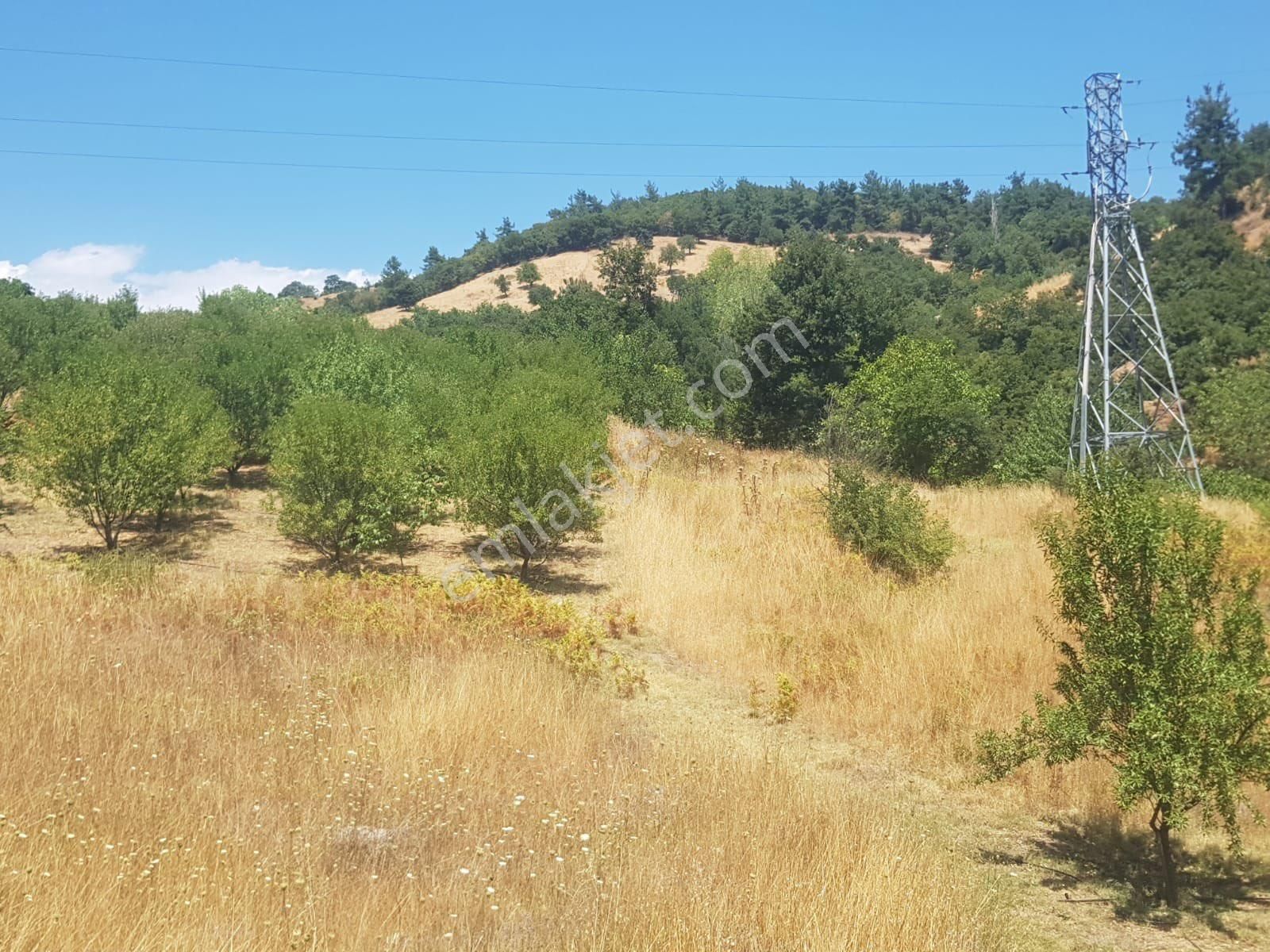 Çanakkale Çan İmarlı Arsa - Görsel 7