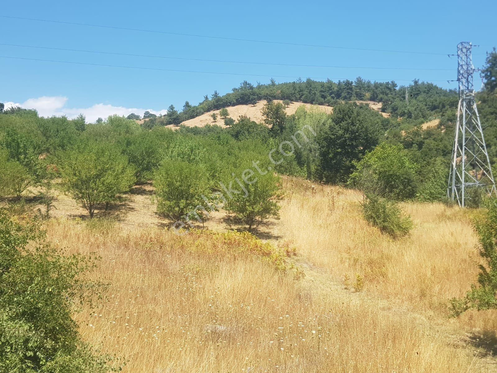 Çanakkale Çan İmarlı Arsa - Görsel 3