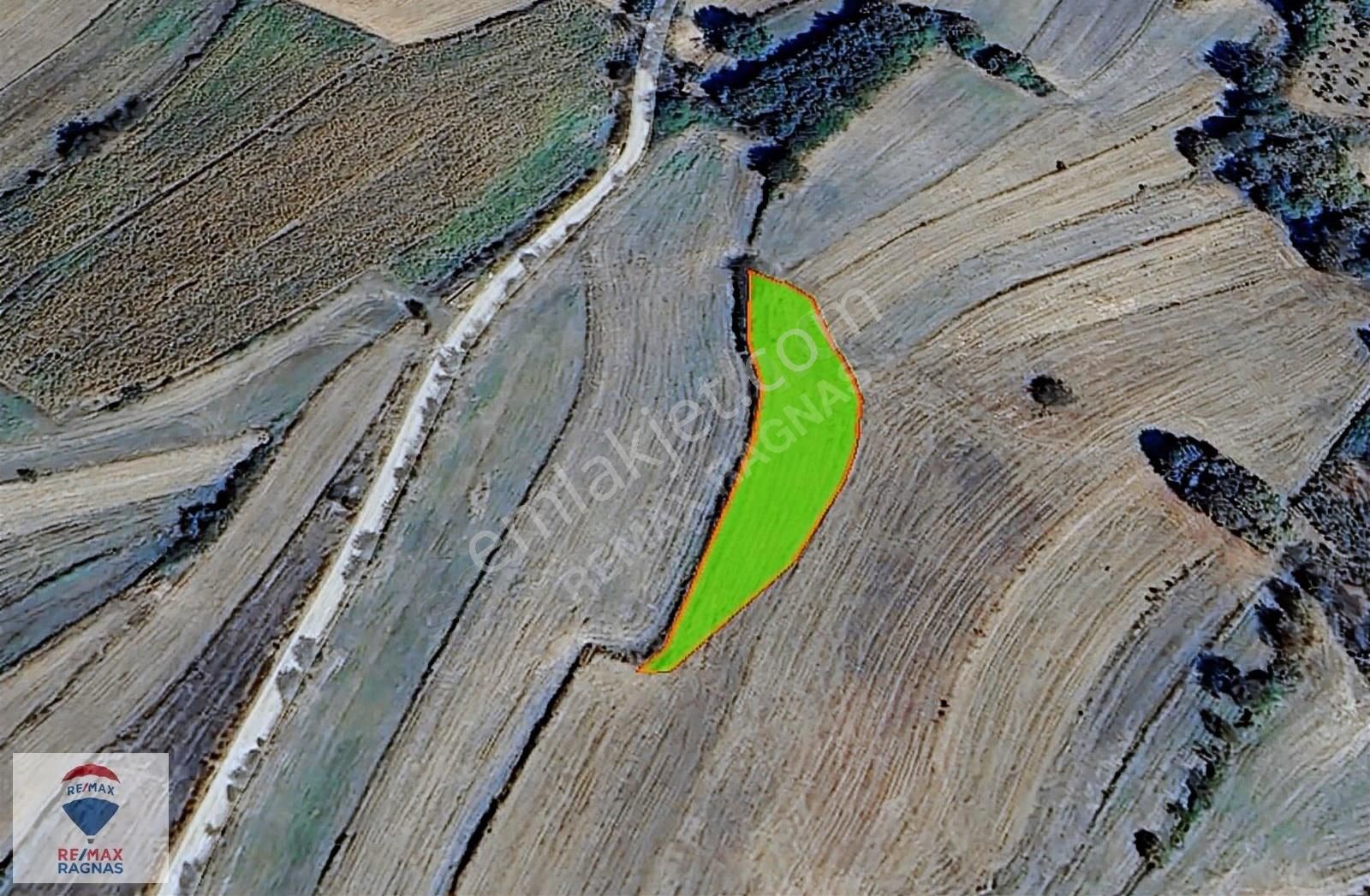 Yatırımlık Kandıra Balcı Mah Resmi Yolu Olan 1305 M2 Tarla