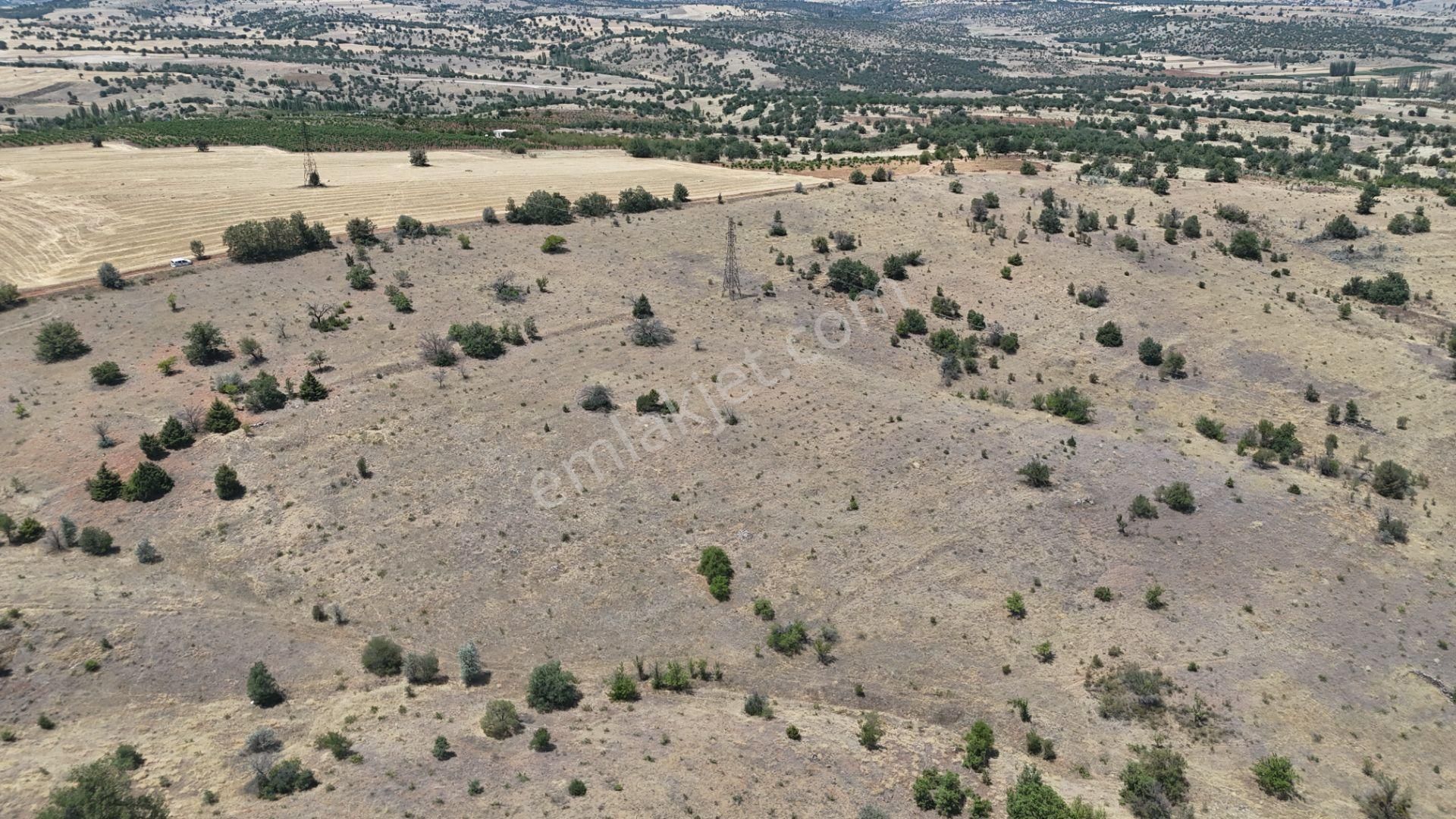 Konya / Güneysınır / Mehmetali Mahallesinde 2.862 M² Müstakil Tapulu Bağ - Görsel 12