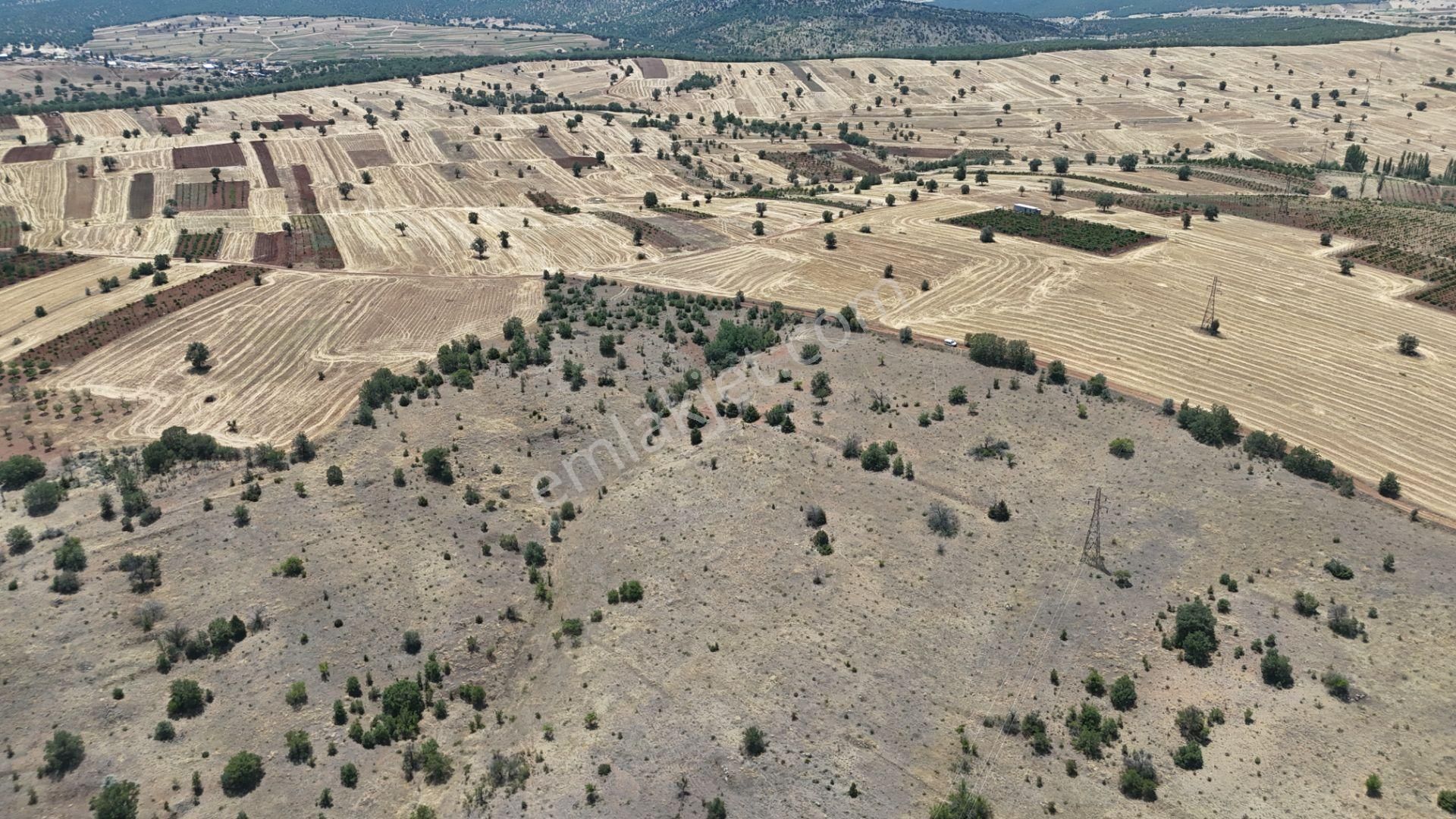Konya / Güneysınır / Mehmetali Mahallesinde 2.862 M² Müstakil Tapulu Bağ - Görsel 17