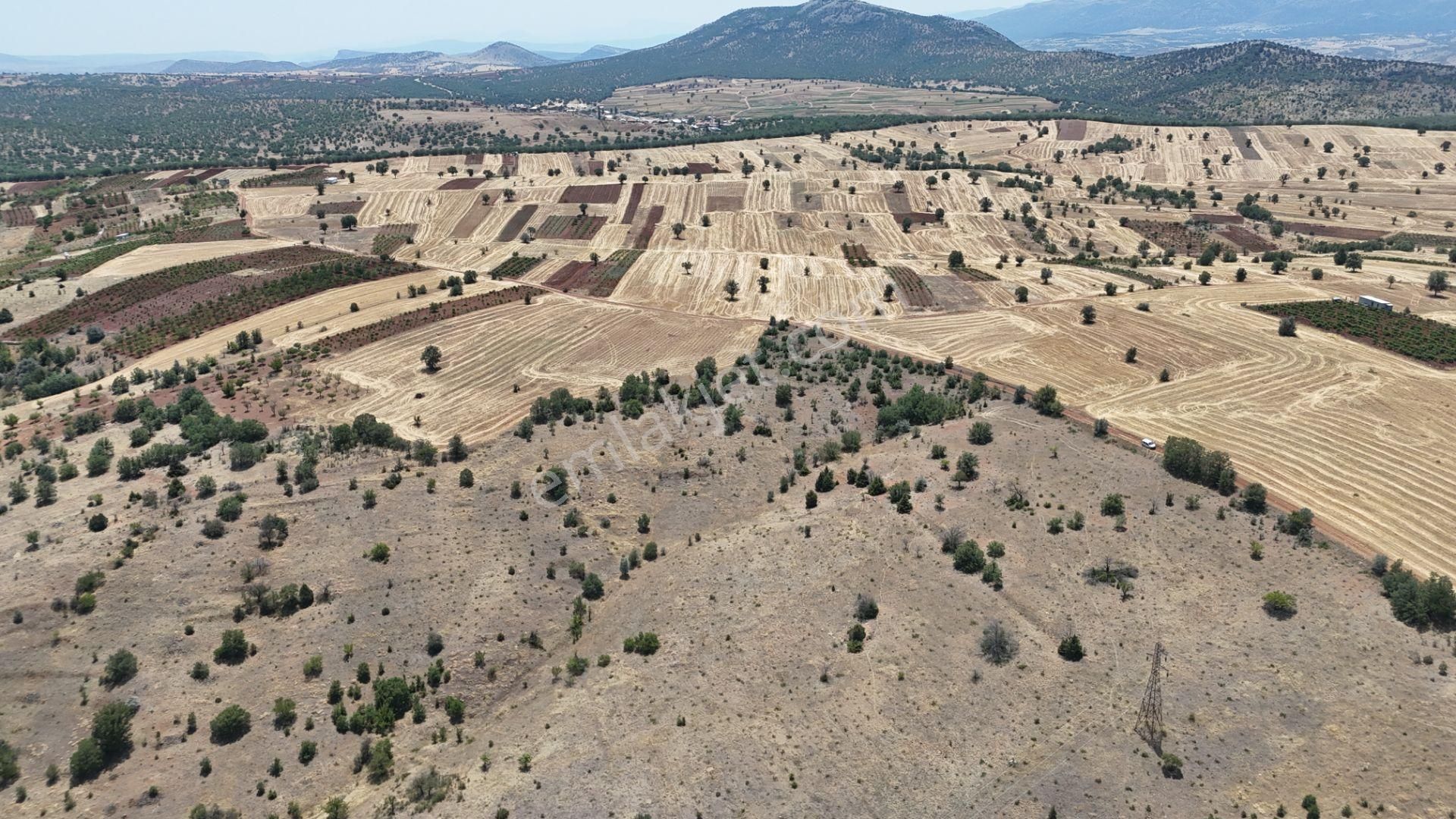 Konya / Güneysınır / Mehmetali Mahallesinde 2.862 M² Müstakil Tapulu Bağ - Görsel 18