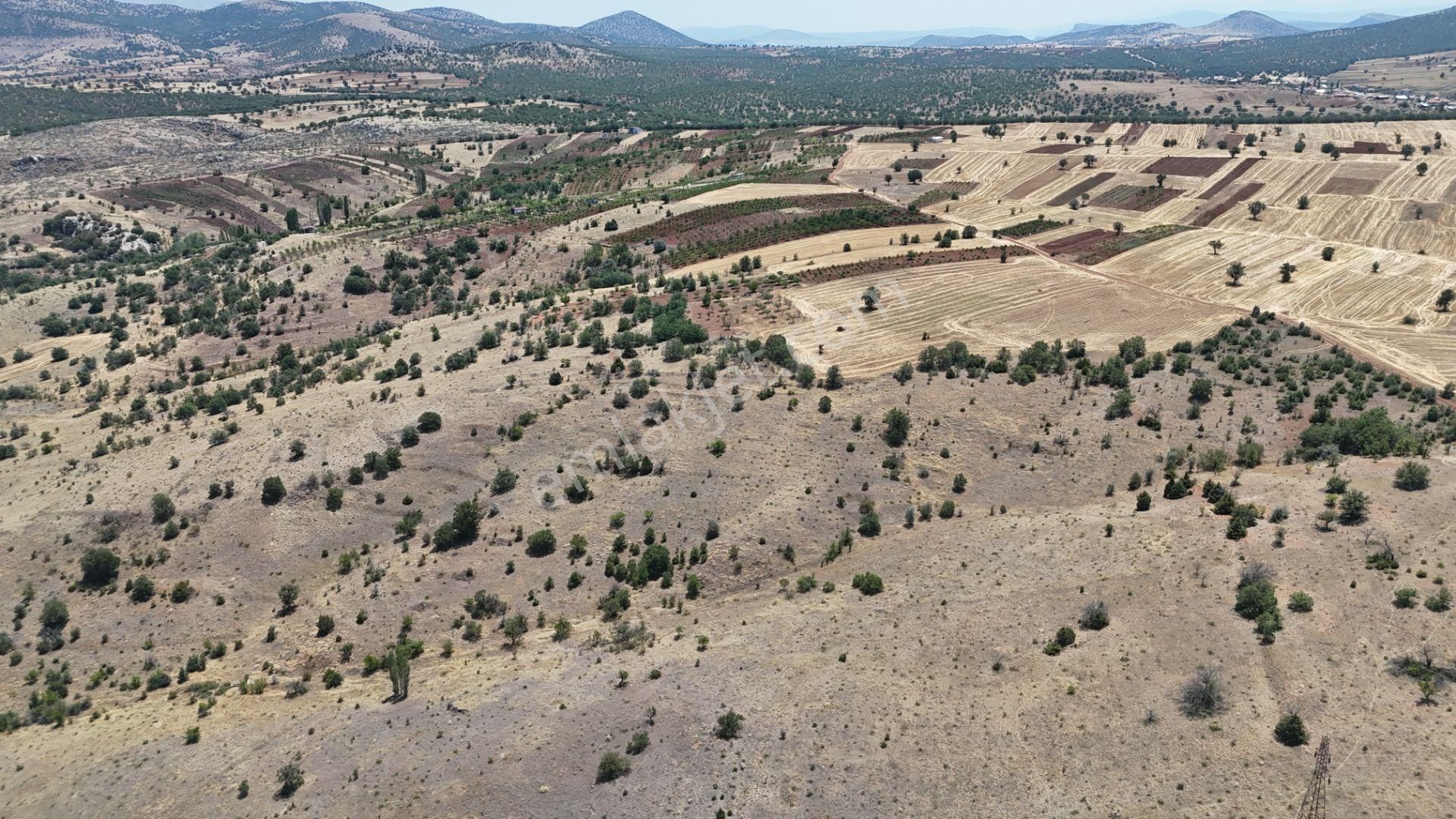Konya / Güneysınır / Mehmetali Mahallesinde 2.862 M² Müstakil Tapulu Bağ - Görsel 20