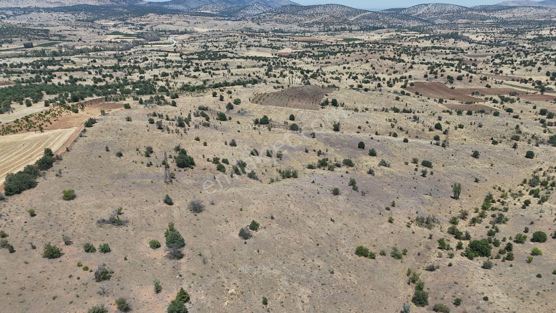 Konya / Güneysınır / Mehmetali Mahallesinde 2.862 M² Müstakil Tapulu Bağ - Görsel 8