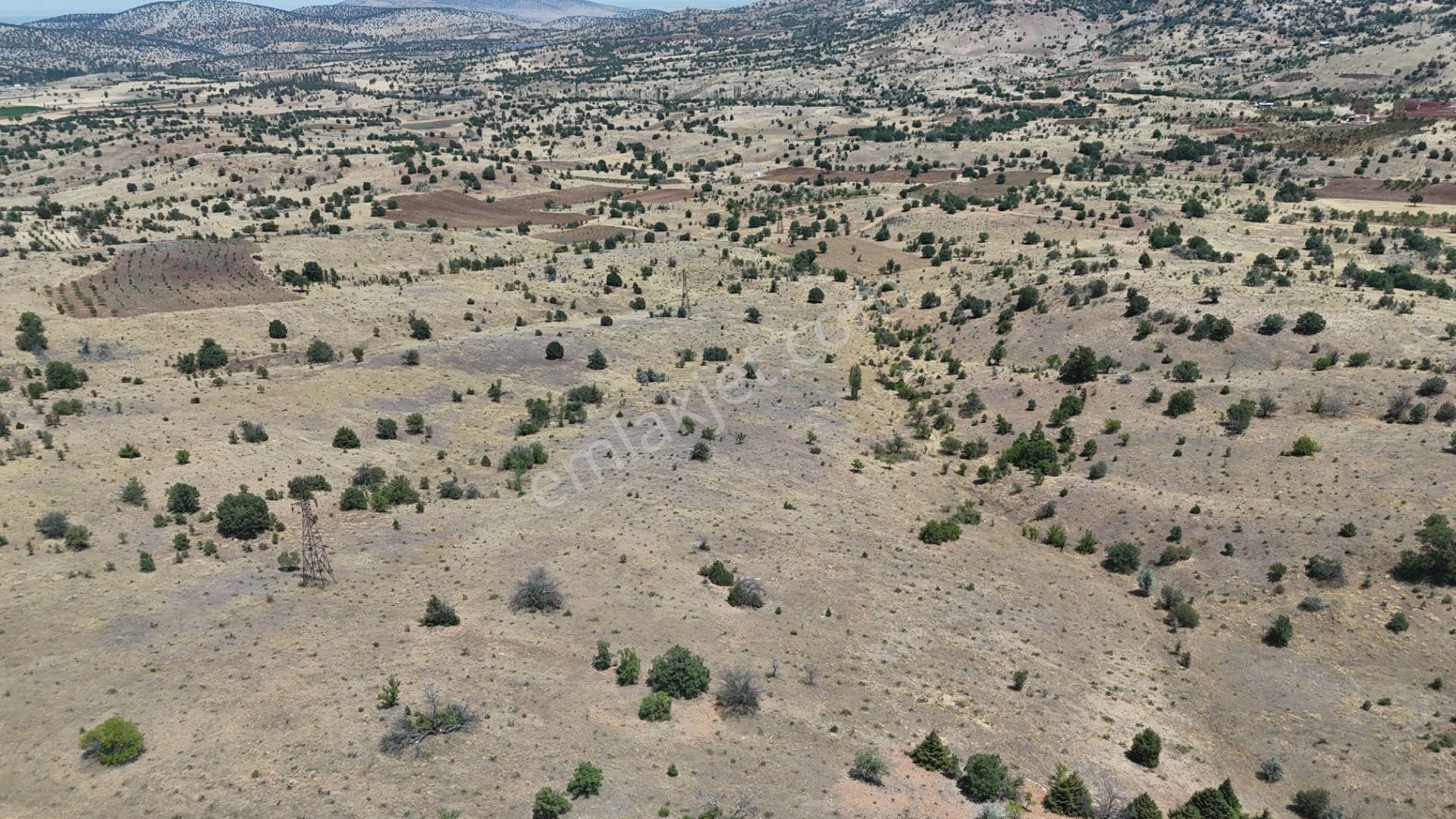 Konya / Güneysınır / Mehmetali Mahallesinde 2.862 M² Müstakil Tapulu Bağ