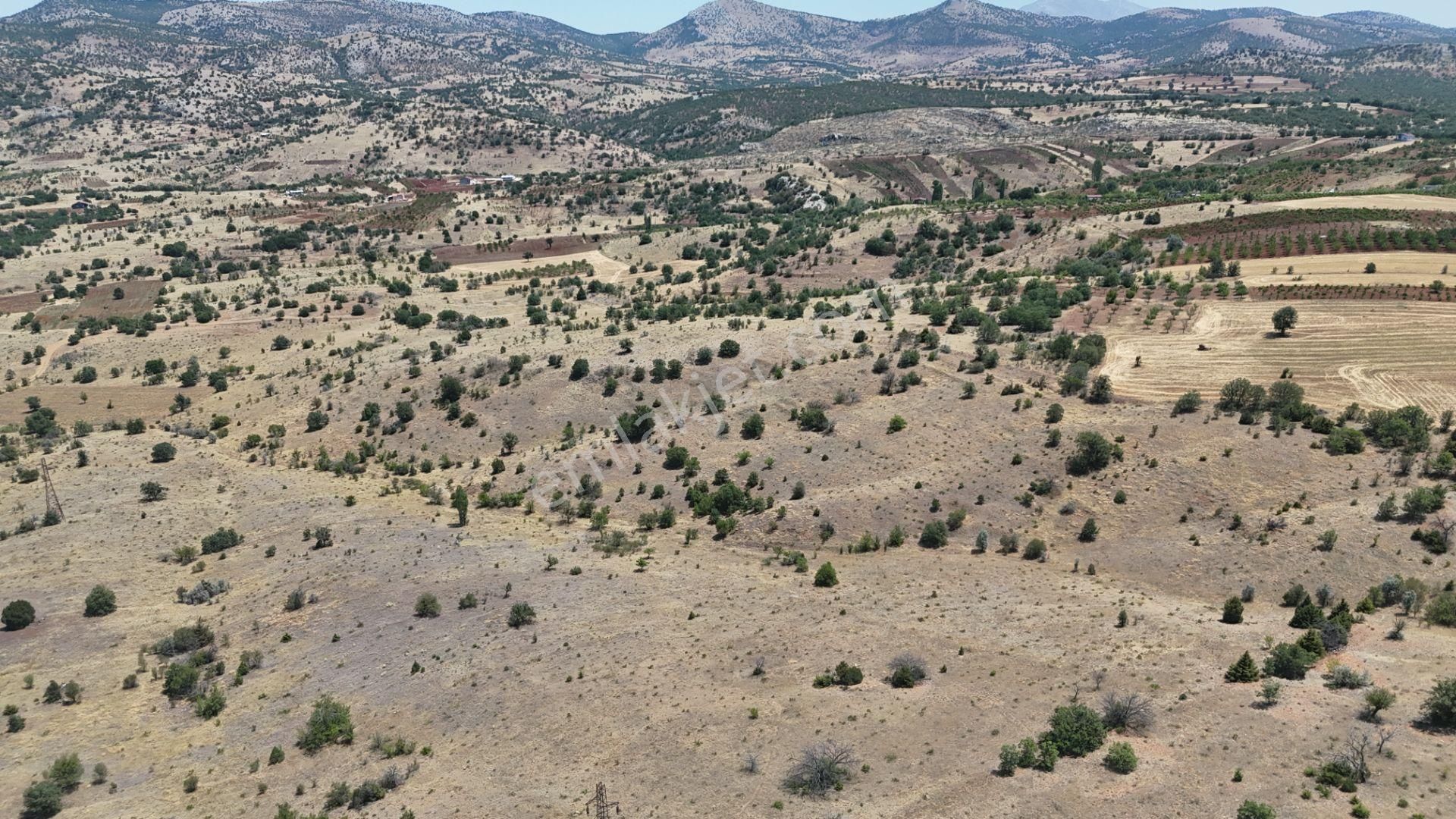 Konya / Güneysınır / Mehmetali Mahallesinde 2.862 M² Müstakil Tapulu Bağ - Görsel 23