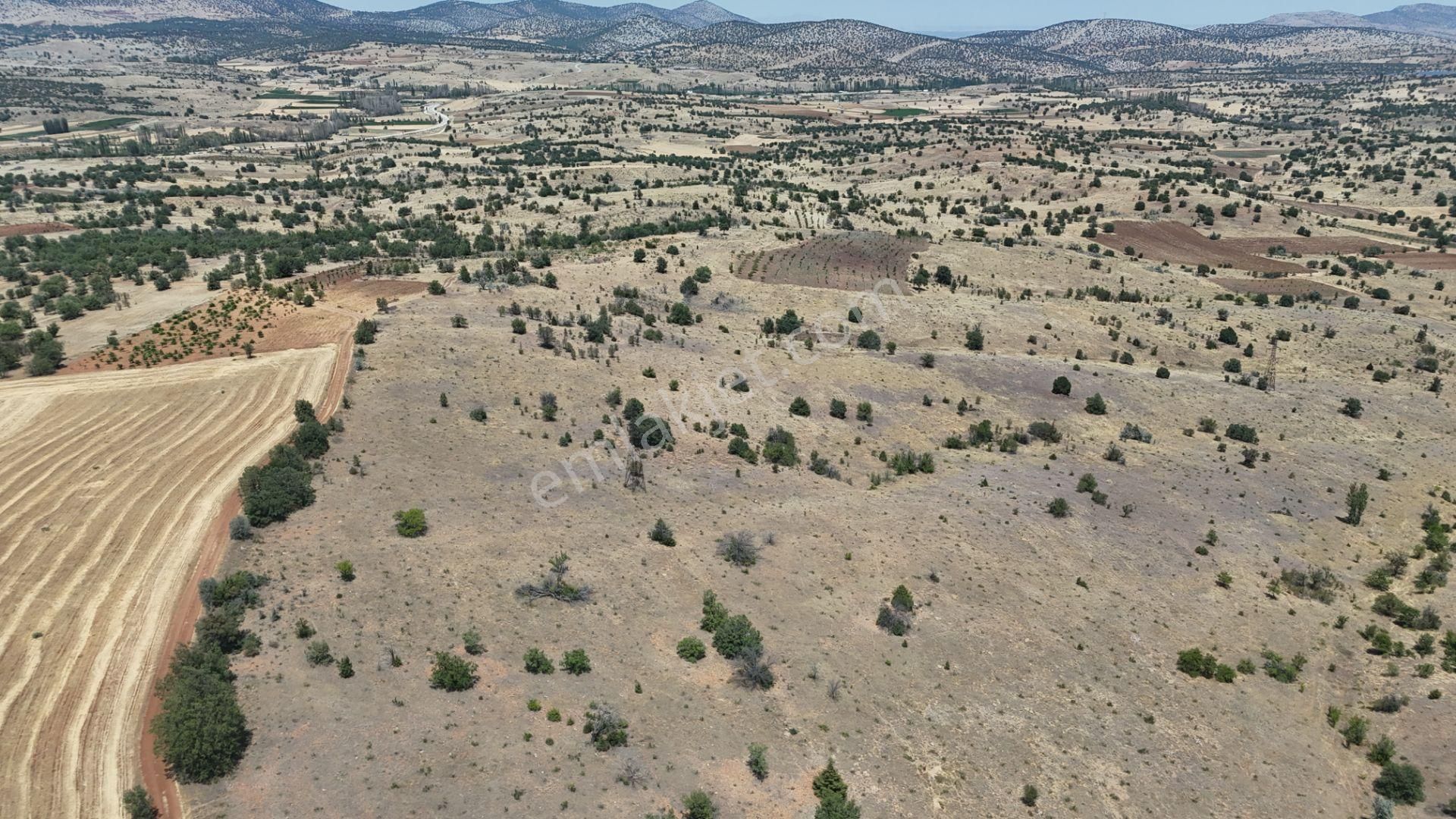 Konya / Güneysınır / Mehmetali Mahallesinde 2.862 M² Müstakil Tapulu Bağ - Görsel 7