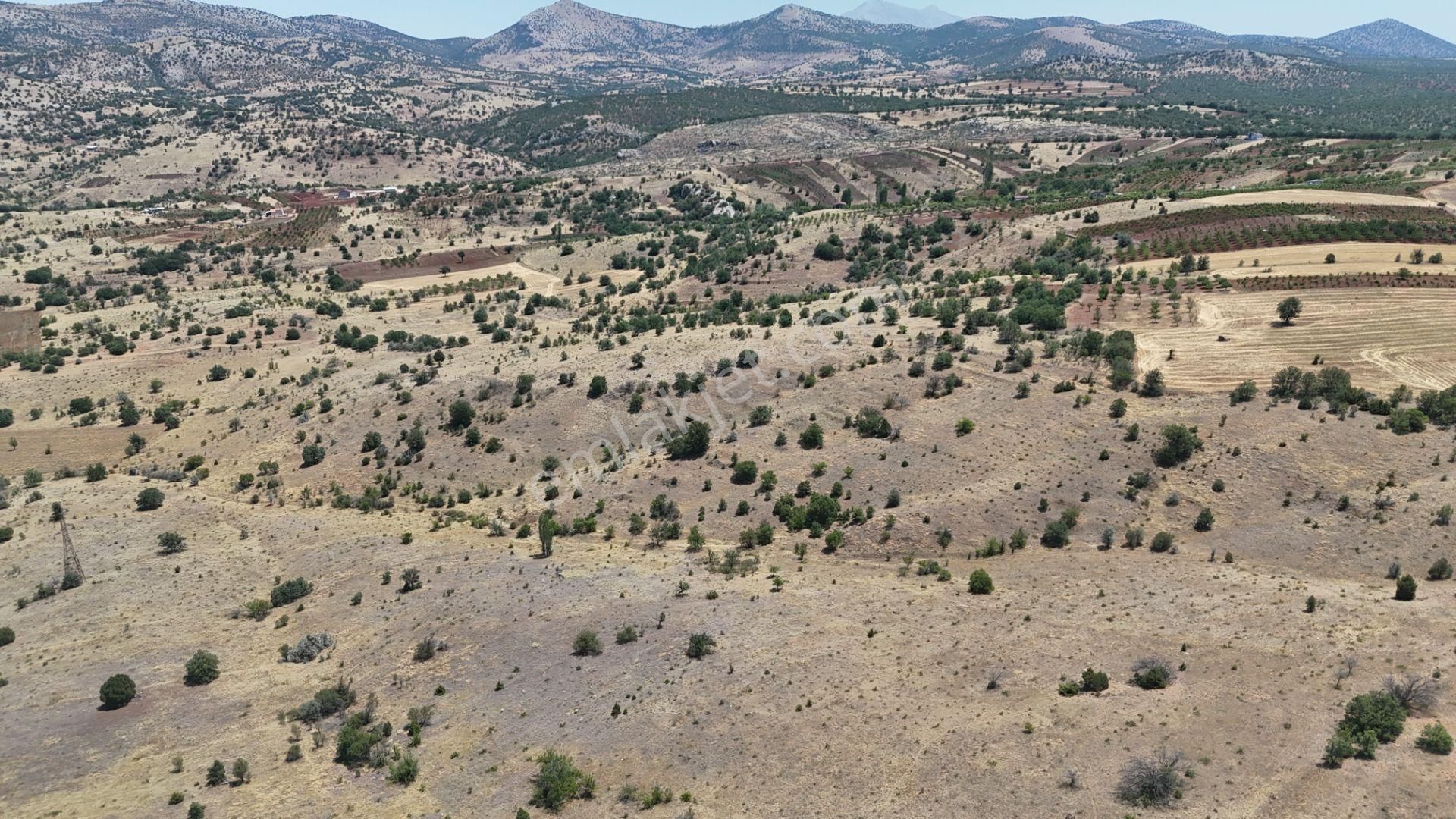 Konya / Güneysınır / Mehmetali Mahallesinde 2.862 M² Müstakil Tapulu Bağ - Görsel 22