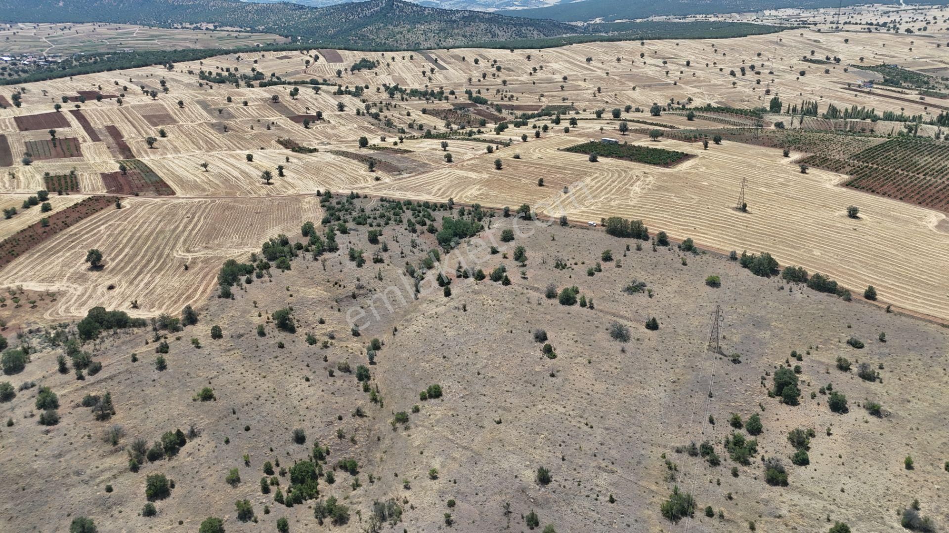 Konya / Güneysınır / Mehmetali Mahallesinde 2.862 M² Müstakil Tapulu Bağ - Görsel 16
