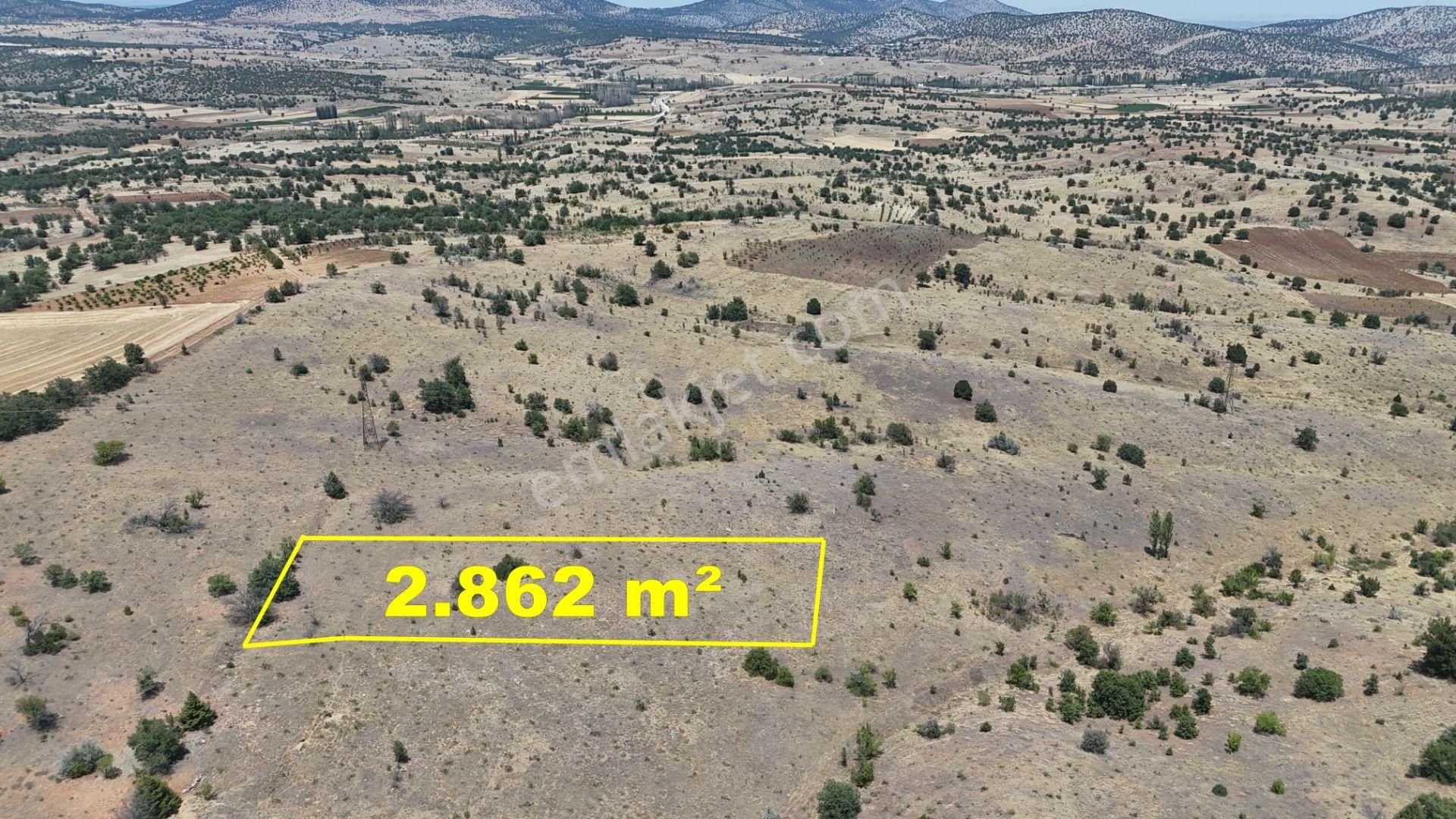 Konya / Güneysınır / Mehmetali Mahallesinde 2.862 M² Müstakil Tapulu Bağ - Görsel 2