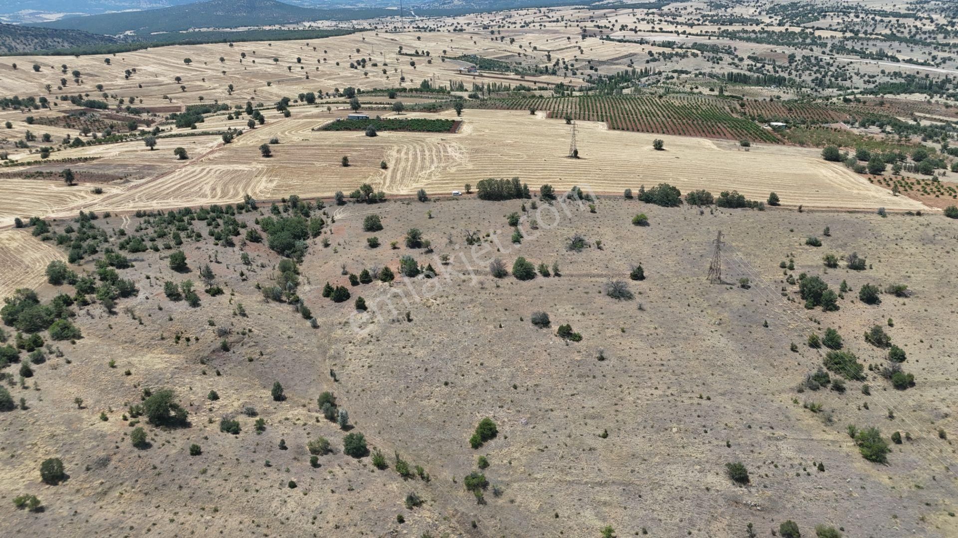 Konya / Güneysınır / Mehmetali Mahallesinde 2.862 M² Müstakil Tapulu Bağ - Görsel 13