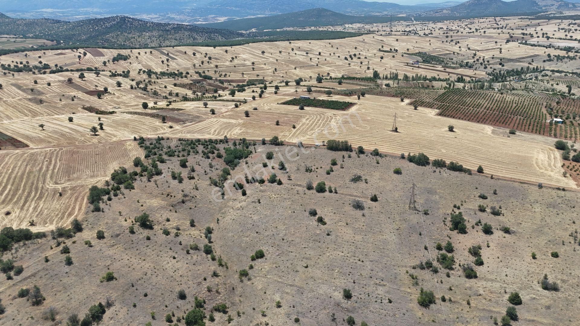 Konya / Güneysınır / Mehmetali Mahallesinde 2.862 M² Müstakil Tapulu Bağ - Görsel 14