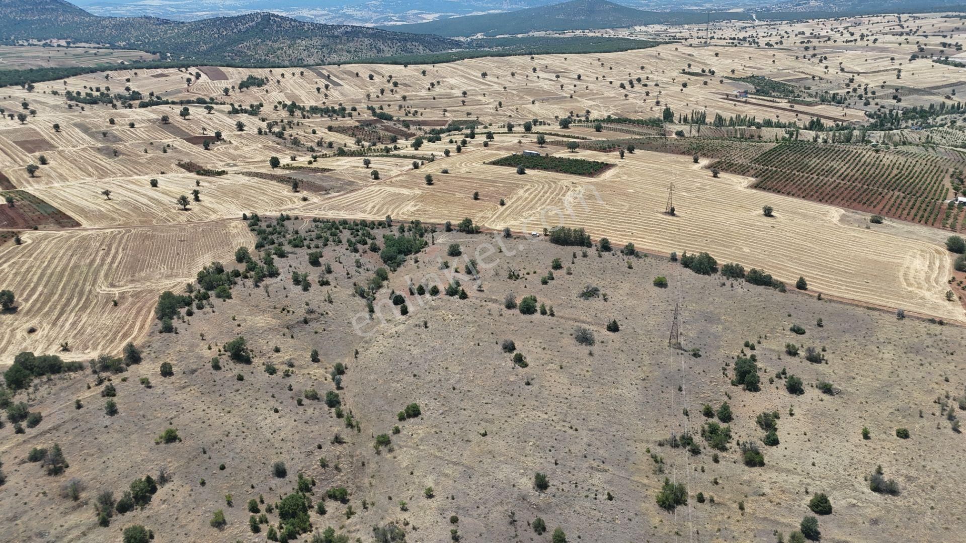 Konya / Güneysınır / Mehmetali Mahallesinde 2.862 M² Müstakil Tapulu Bağ - Görsel 15
