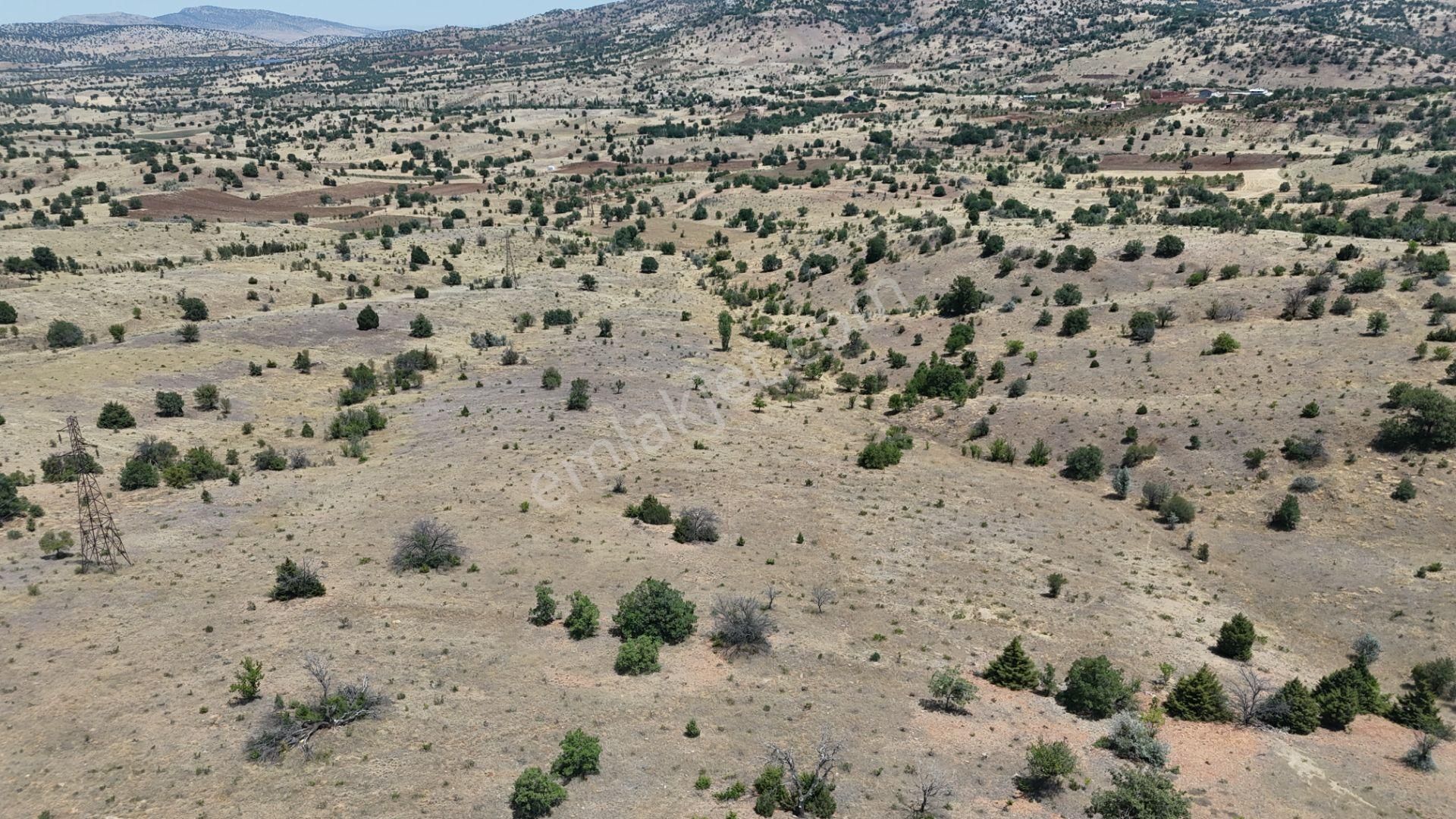 Konya / Güneysınır / Mehmetali Mahallesinde 2.862 M² Müstakil Tapulu Bağ - Görsel 4