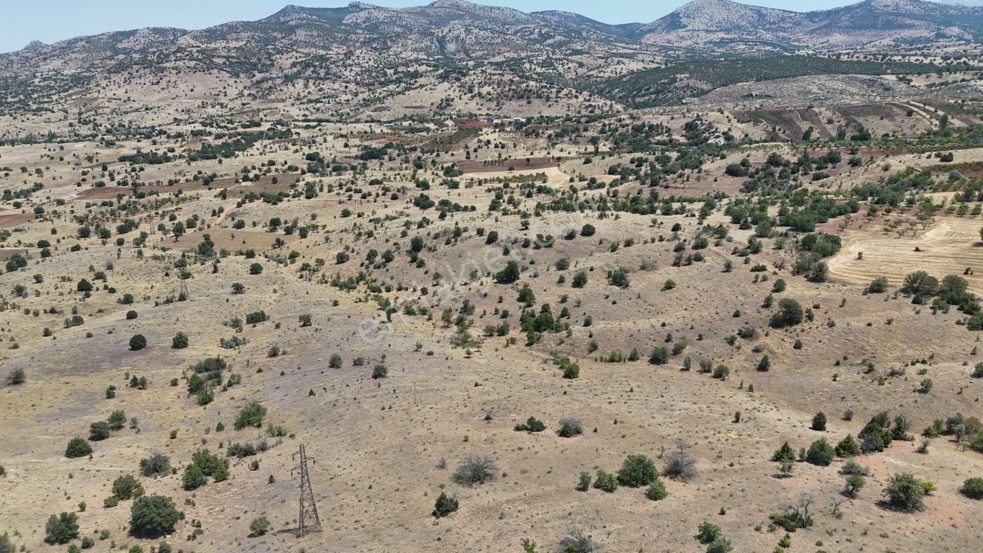 Konya / Güneysınır / Mehmetali Mahallesinde 2.862 M² Müstakil Tapulu Bağ - Görsel 24