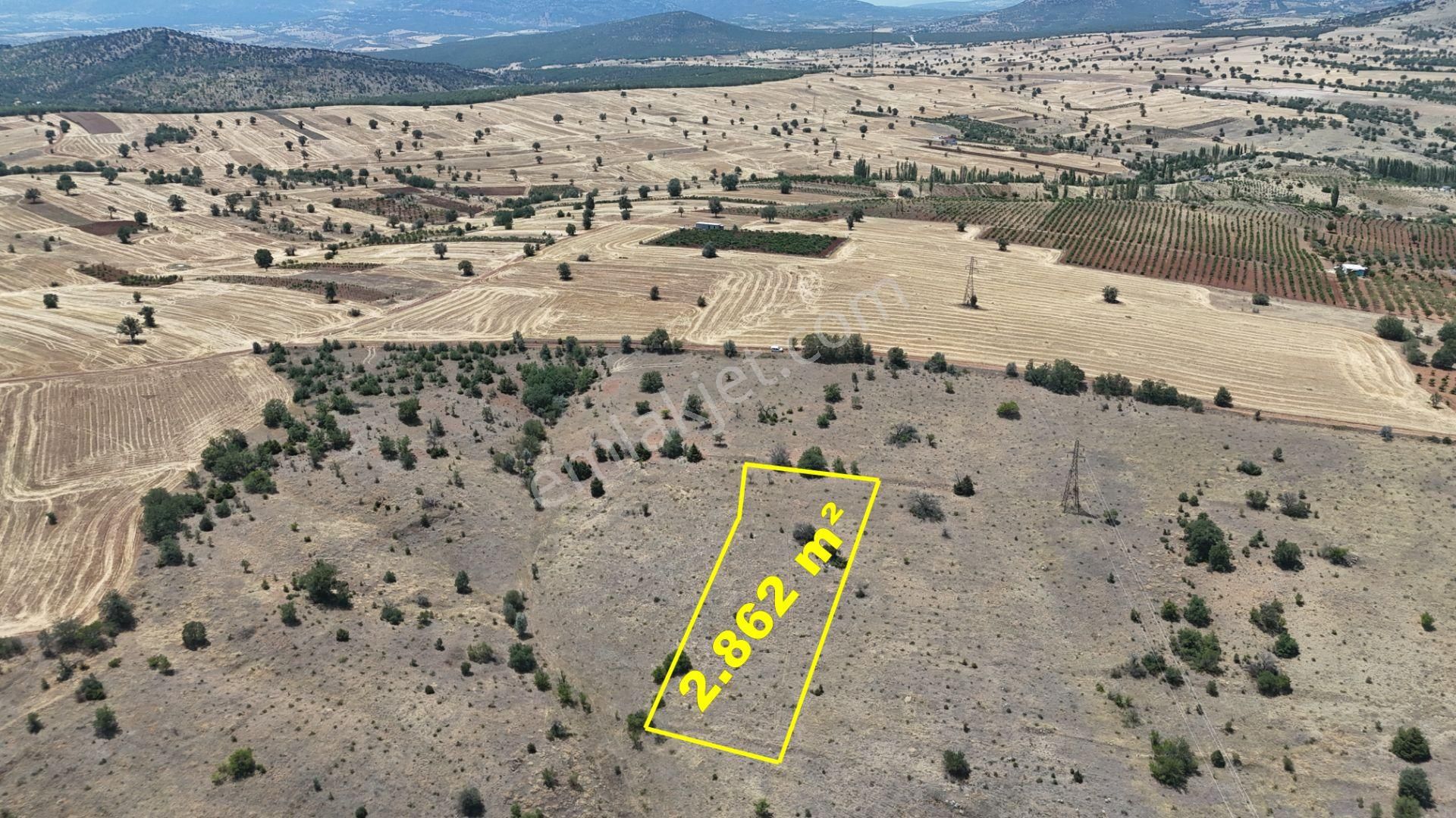 Konya / Güneysınır / Mehmetali Mahallesinde 2.862 M² Müstakil Tapulu Bağ - Görsel 5