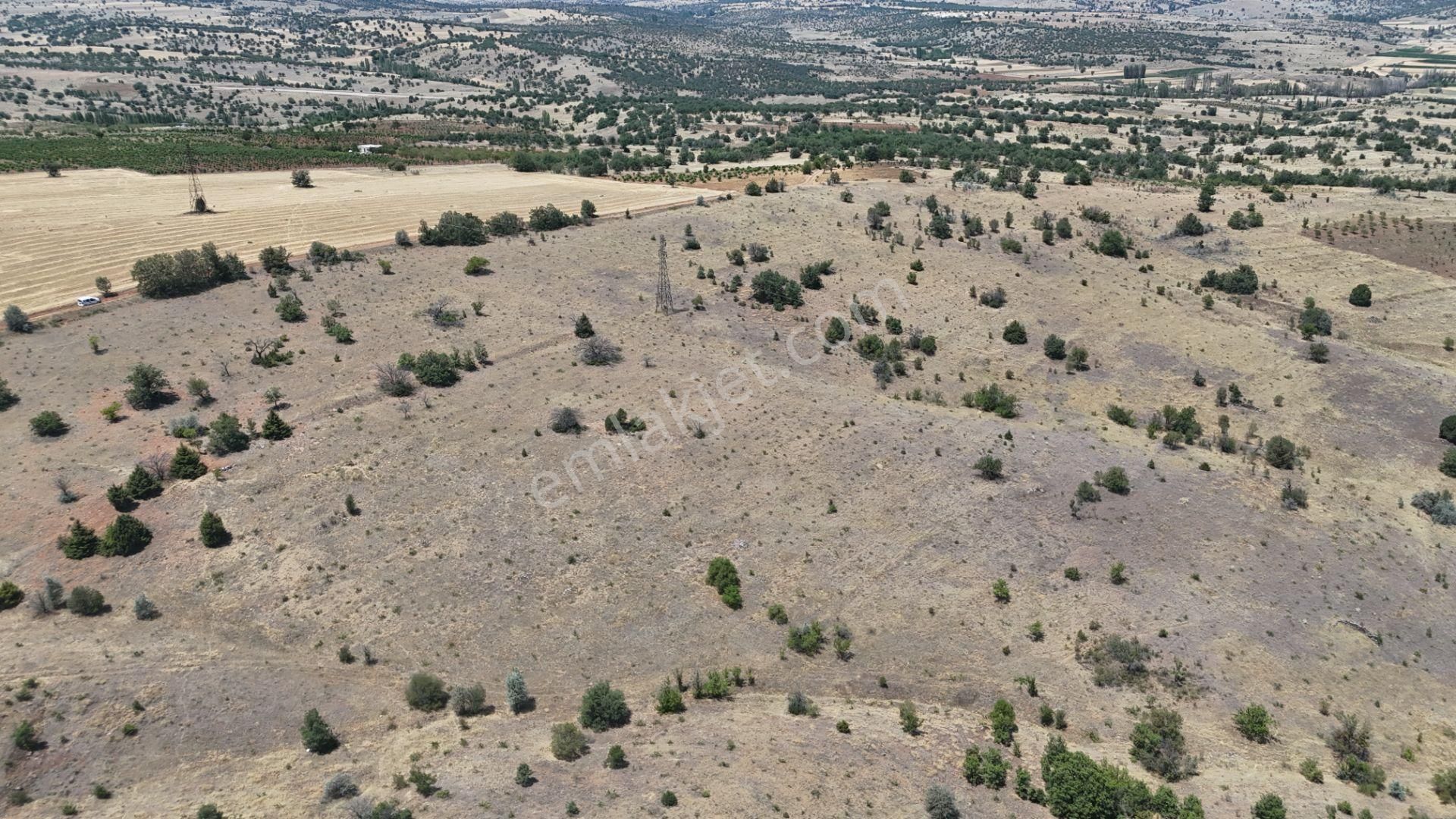 Konya / Güneysınır / Mehmetali Mahallesinde 2.862 M² Müstakil Tapulu Bağ - Görsel 11
