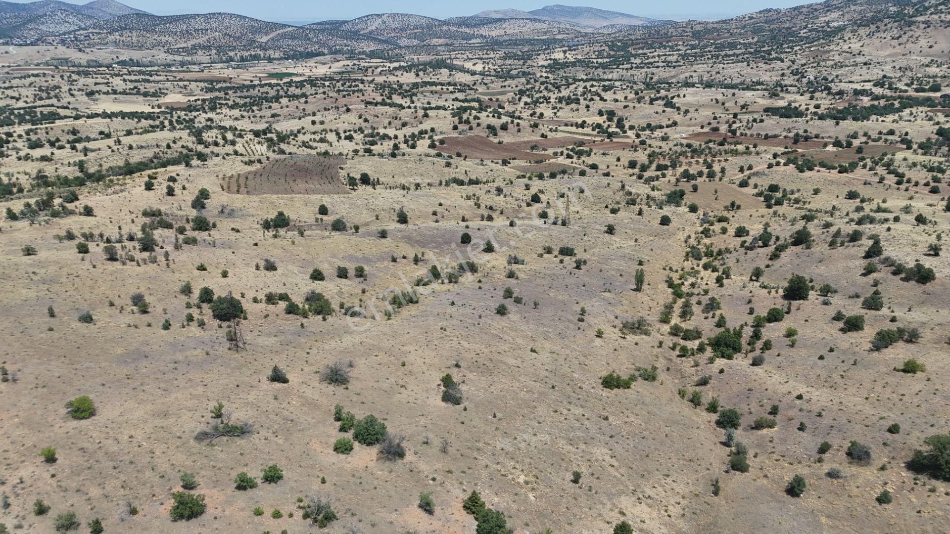 Konya / Güneysınır / Mehmetali Mahallesinde 2.862 M² Müstakil Tapulu Bağ - Görsel 6