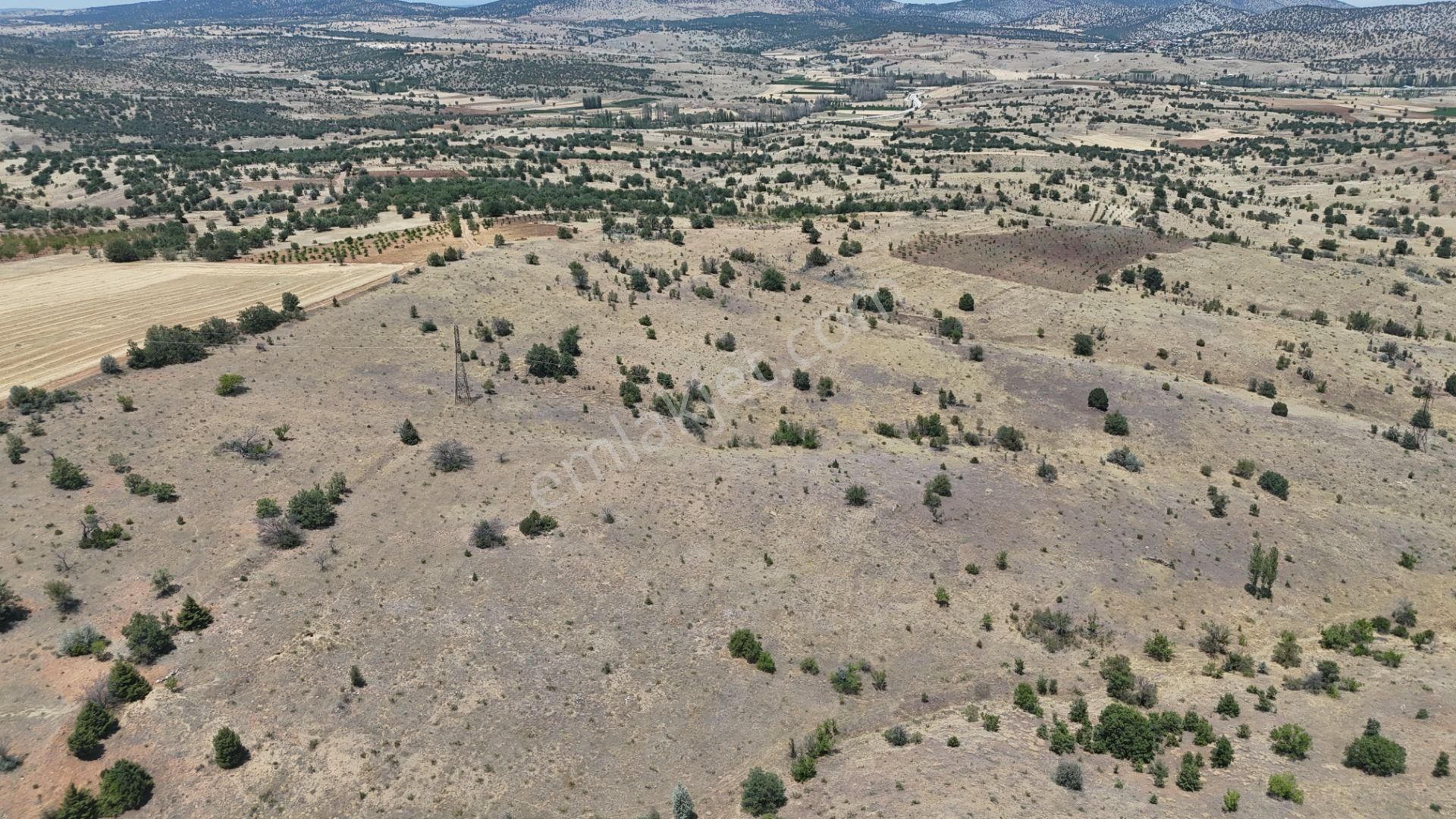 Konya / Güneysınır / Mehmetali Mahallesinde 2.862 M² Müstakil Tapulu Bağ - Görsel 10