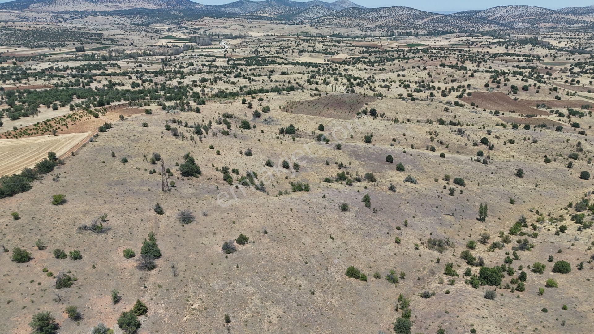 Konya / Güneysınır / Mehmetali Mahallesinde 2.862 M² Müstakil Tapulu Bağ - Görsel 9