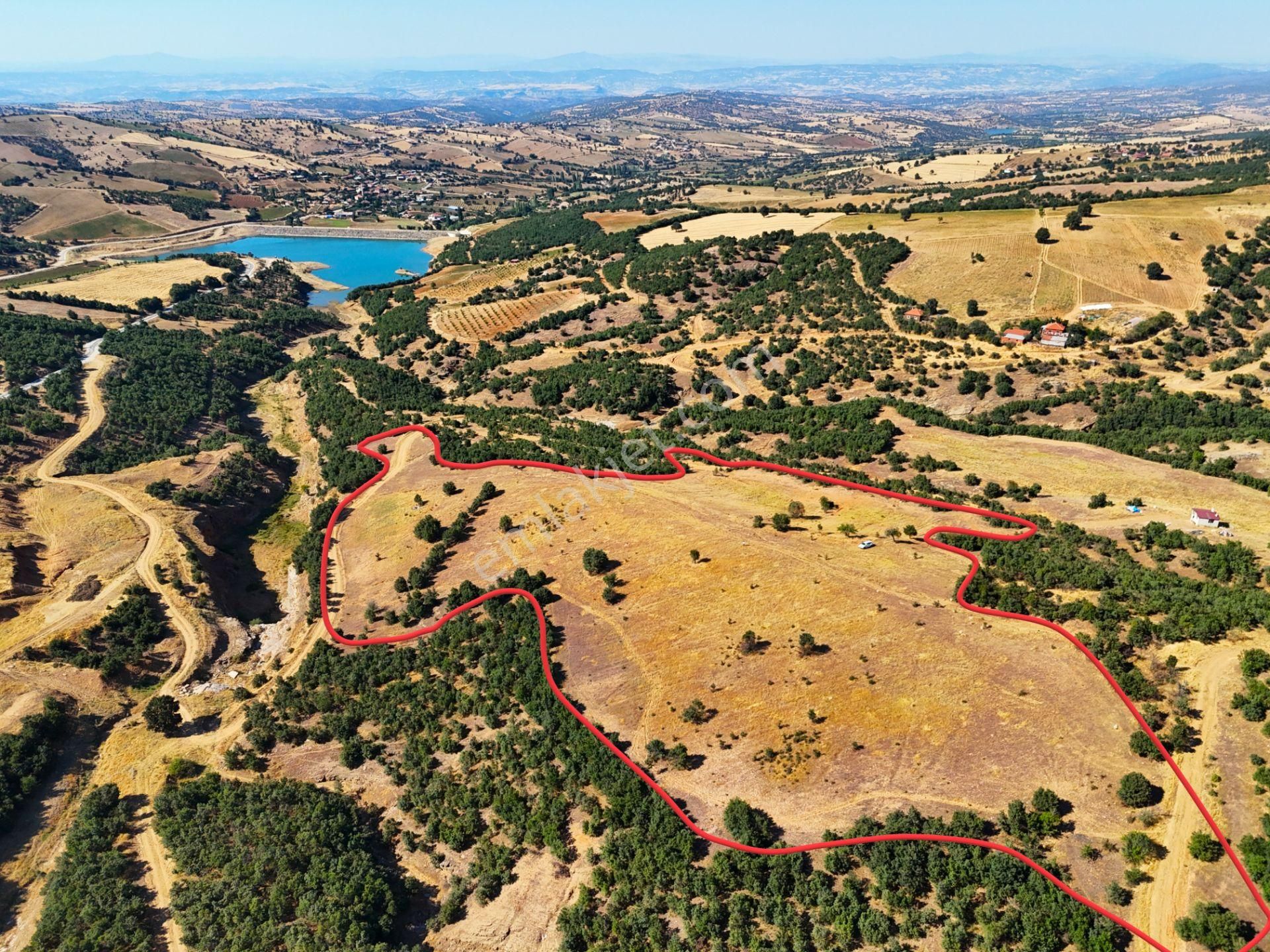 Kula'da Satılık 35552 M2 Tarla (video)