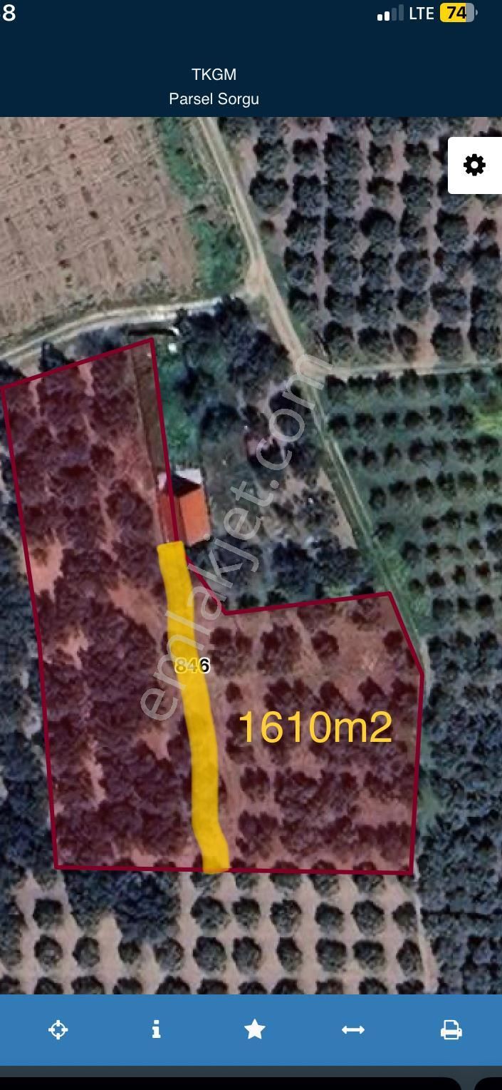 Bağ Evi Yapımına Uygun Sahibinden Zeytinlik - Görsel 2