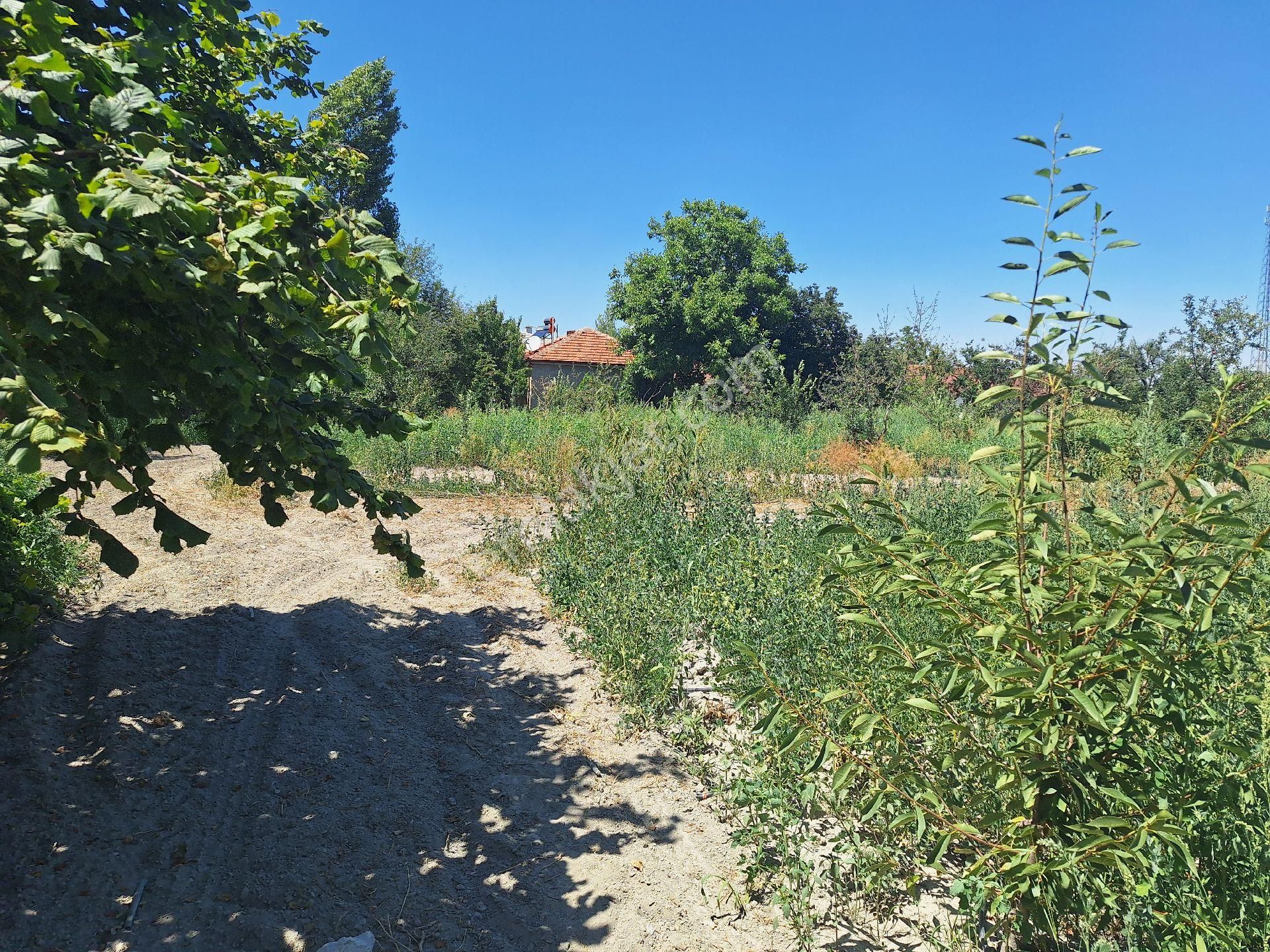 Dagli Emlaktan Gölcayır Mahallesinde - Görsel 9