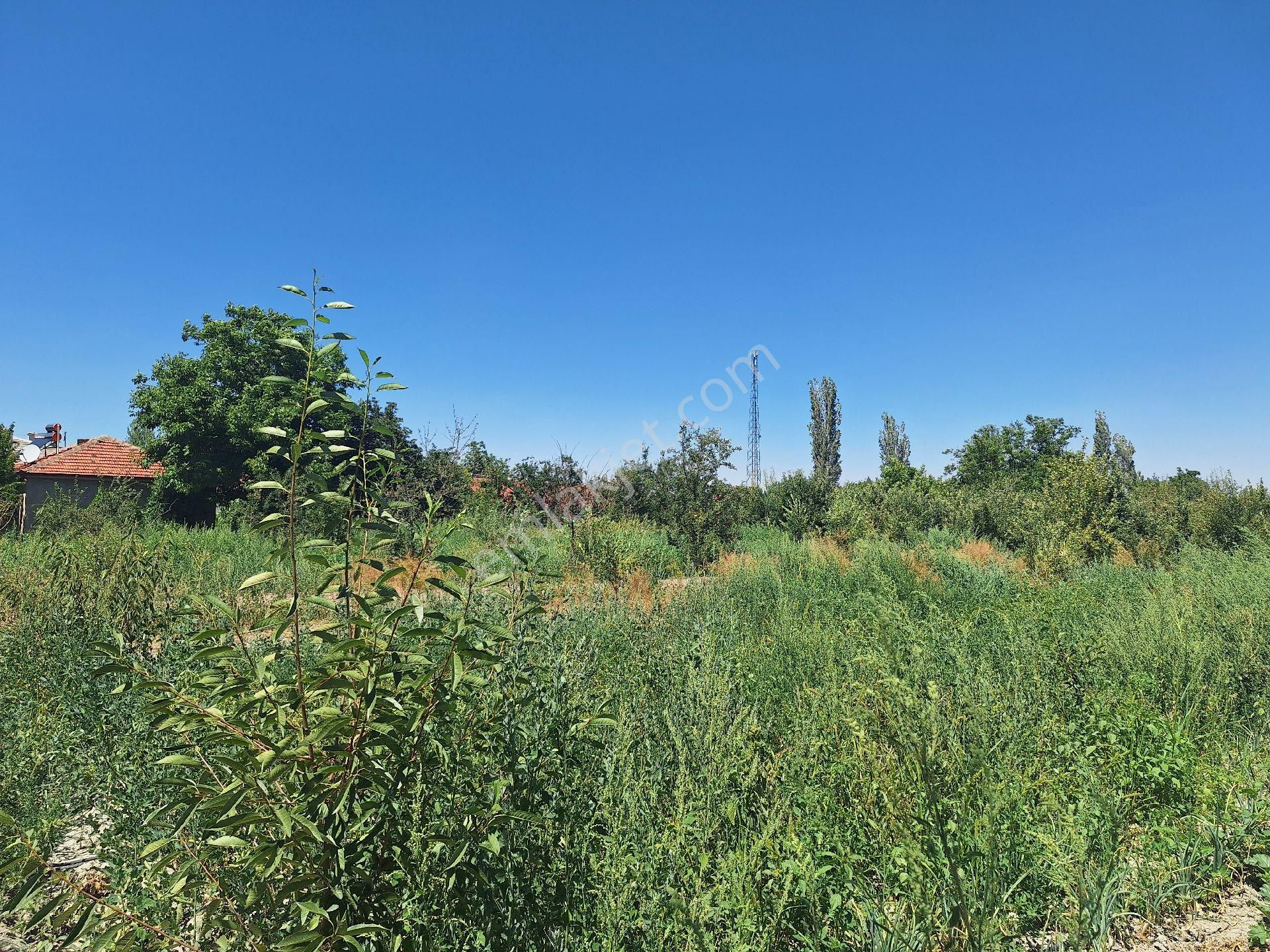 Dagli Emlaktan Gölcayır Mahallesinde - Görsel 10