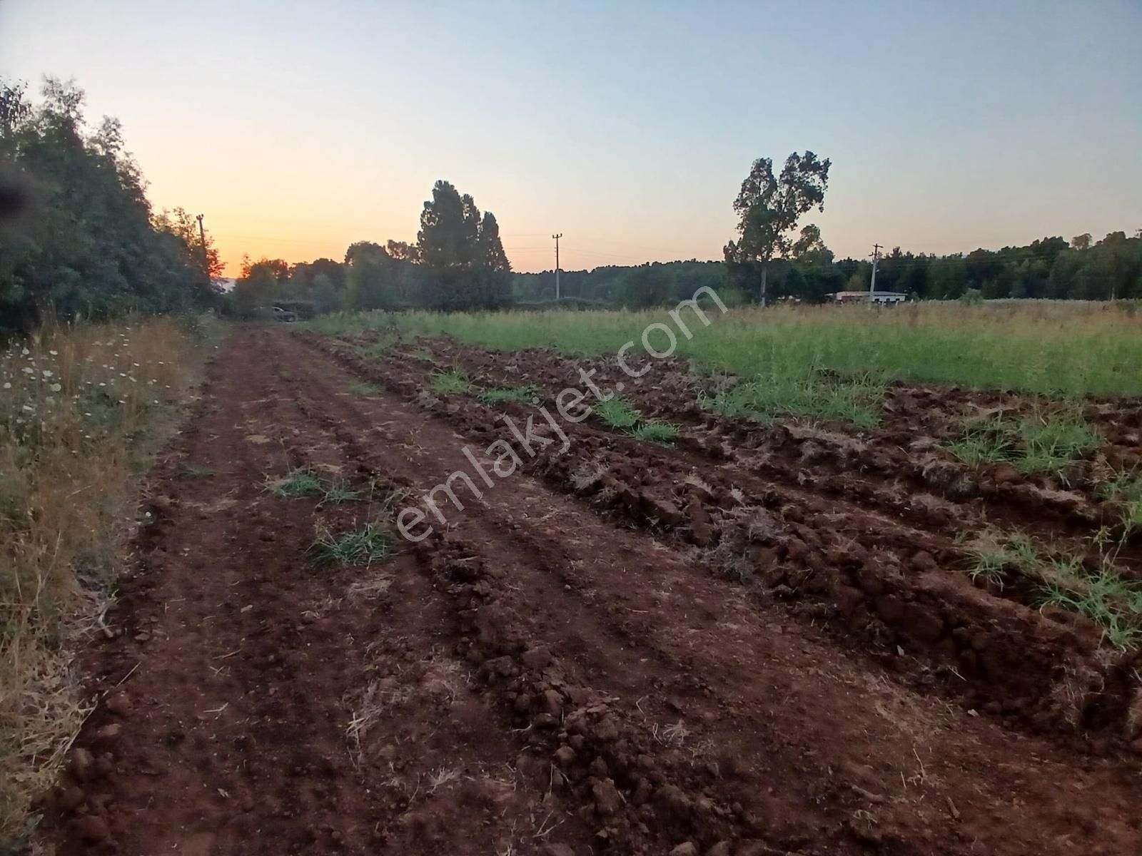 Muğla - Ula Çörüş Köyünde 1600 M2 Köy Yerleşim Alanı İçinde Kalan Satılık Tarla - Görsel 3