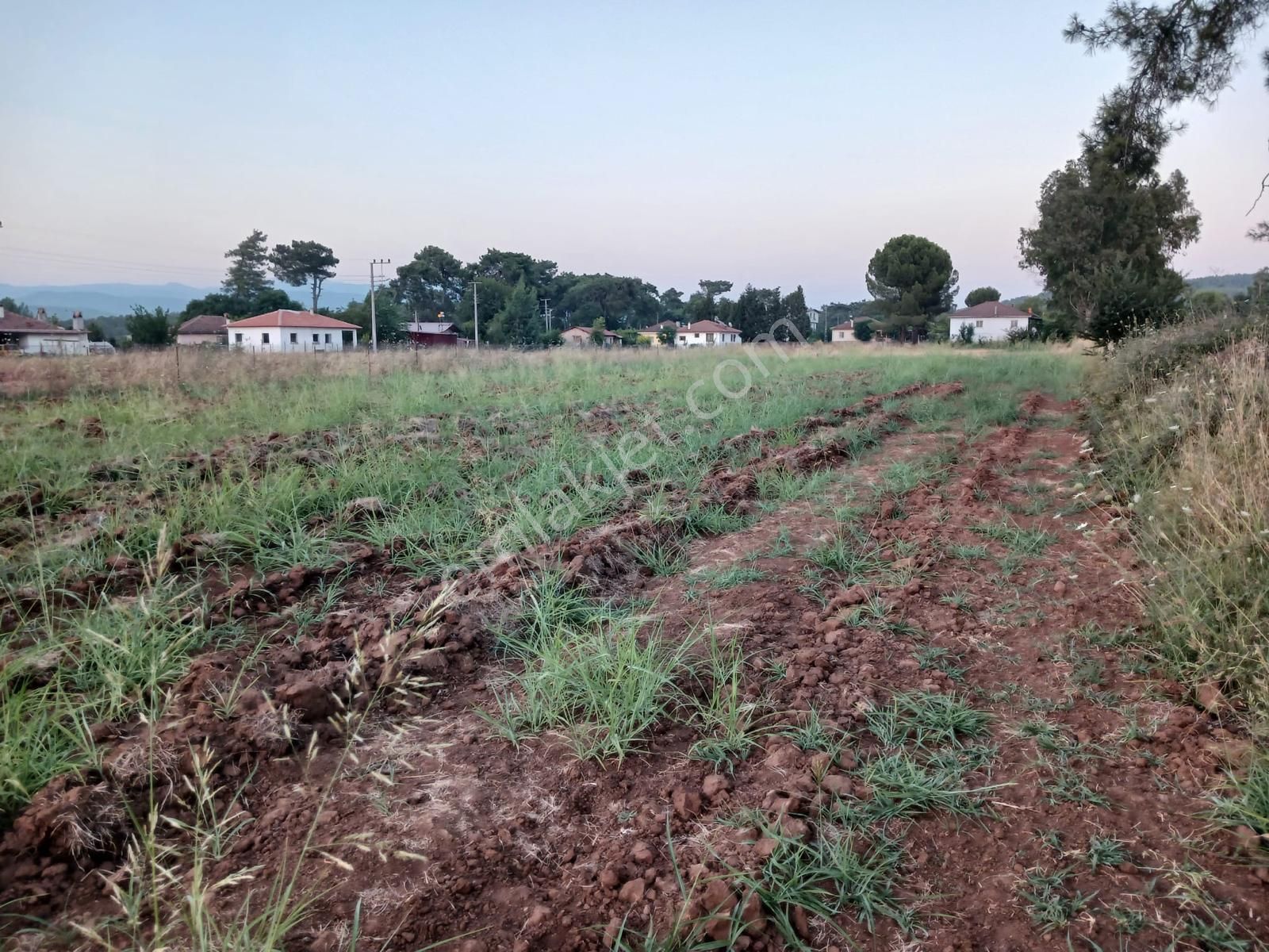 Muğla - Ula Çörüş Köyünde 1600 M2 Köy Yerleşim Alanı İçinde Kalan Satılık Tarla - Görsel 6