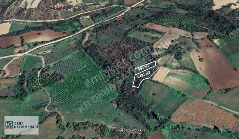 İnegöl Dömez De Müstakil Tapulu 1.857 M2 Satılık Bahçe