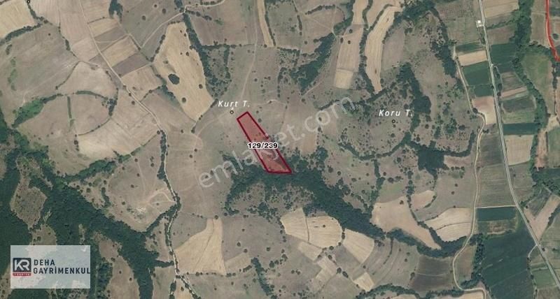 Balıkesir Karesi Armutalan Satılık 11.173m2 Turizm Bölgesi Tarla