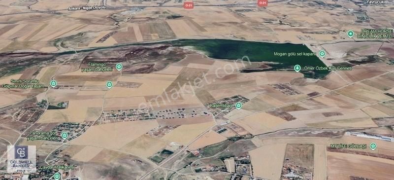 Yağlıpınar ' Da 500 M2 Elektrik-su-tel Örgü- Satılık Arazi