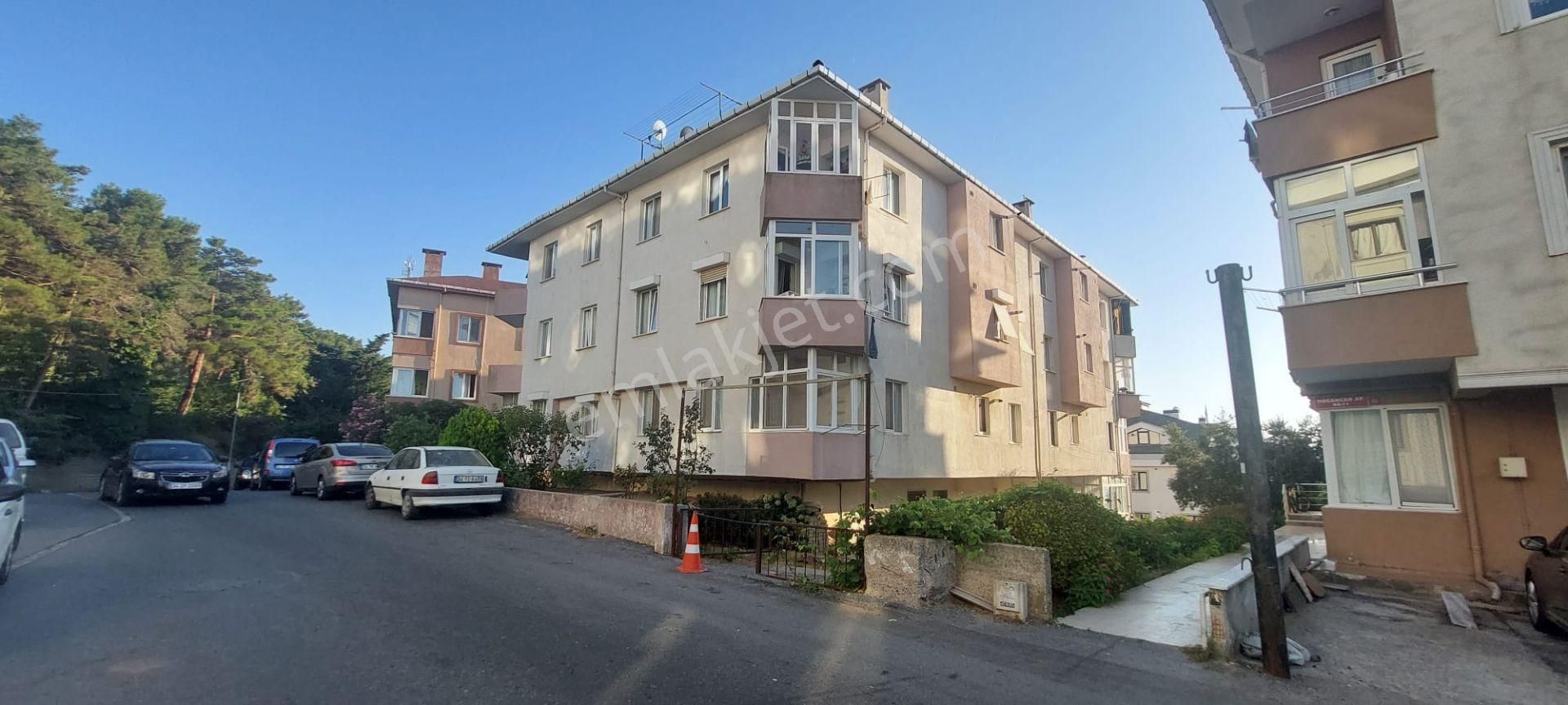 Remax Anka'dan Şile Çamlık Mercan Köşk Karşısı 100 M2 2+1 Satıl