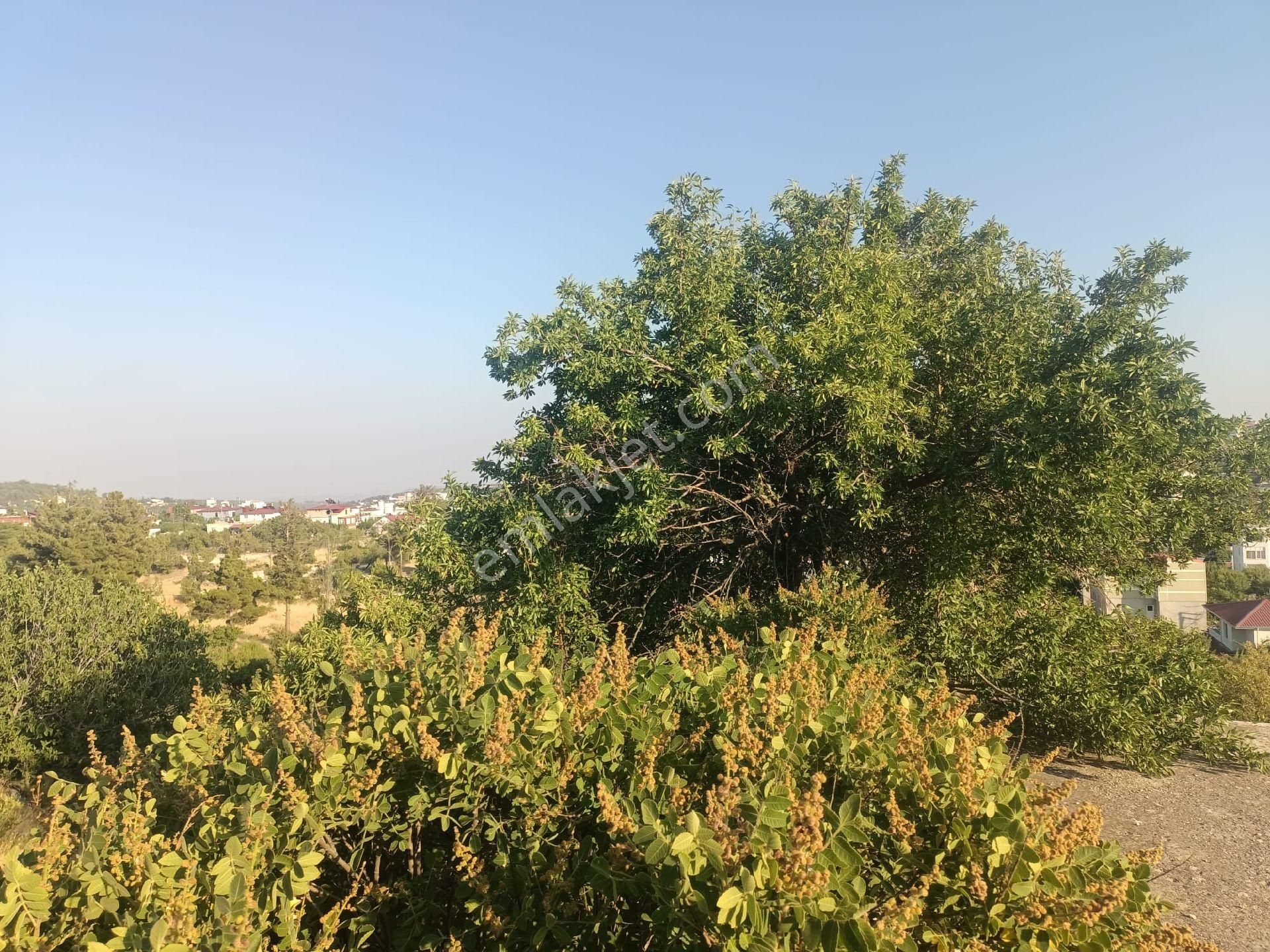 Aydıncık Emlaktan Satılık Müstakil Ev Ve Arsa - Görsel 16