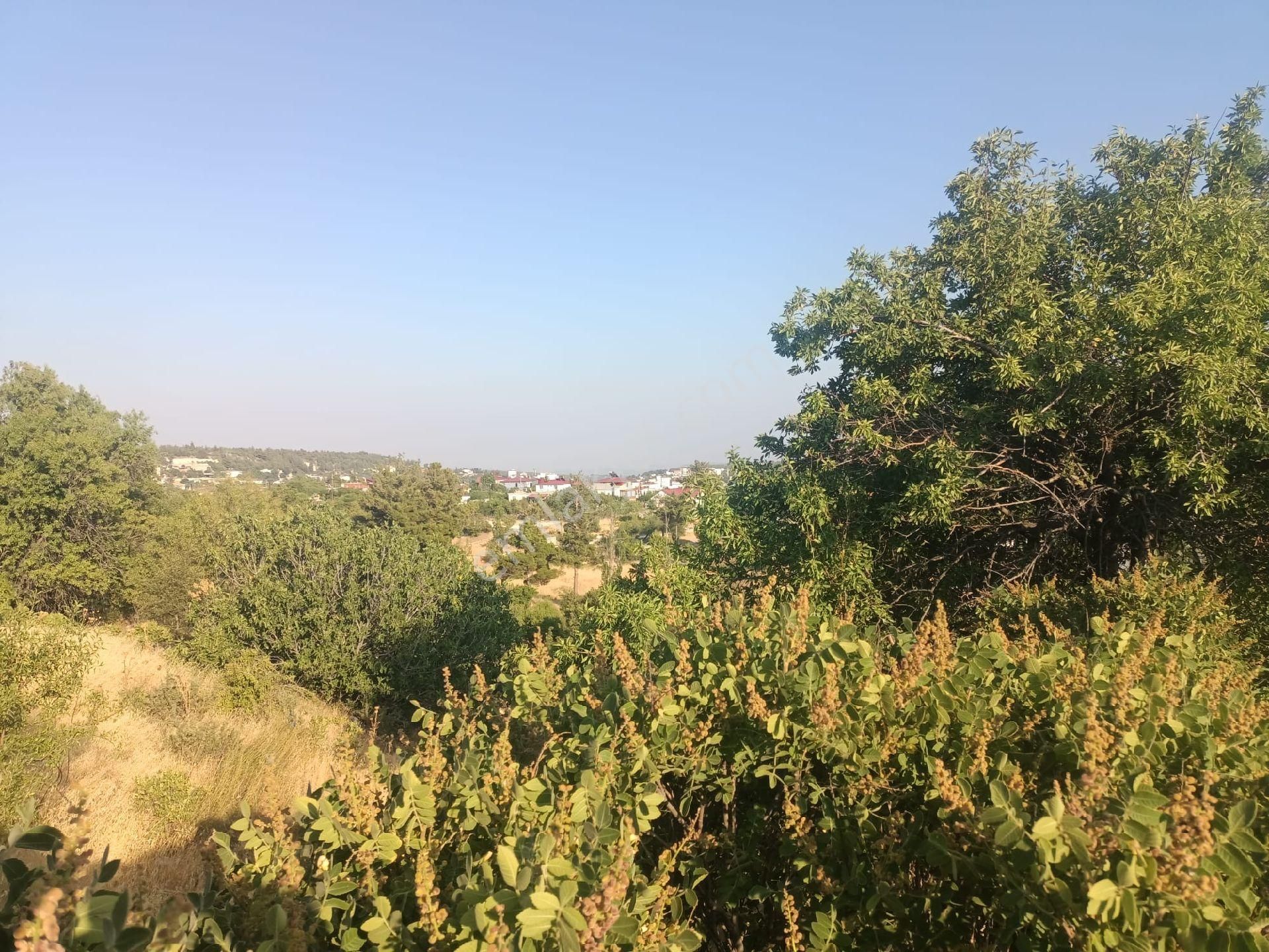 Aydıncık Emlaktan Satılık Müstakil Ev Ve Arsa