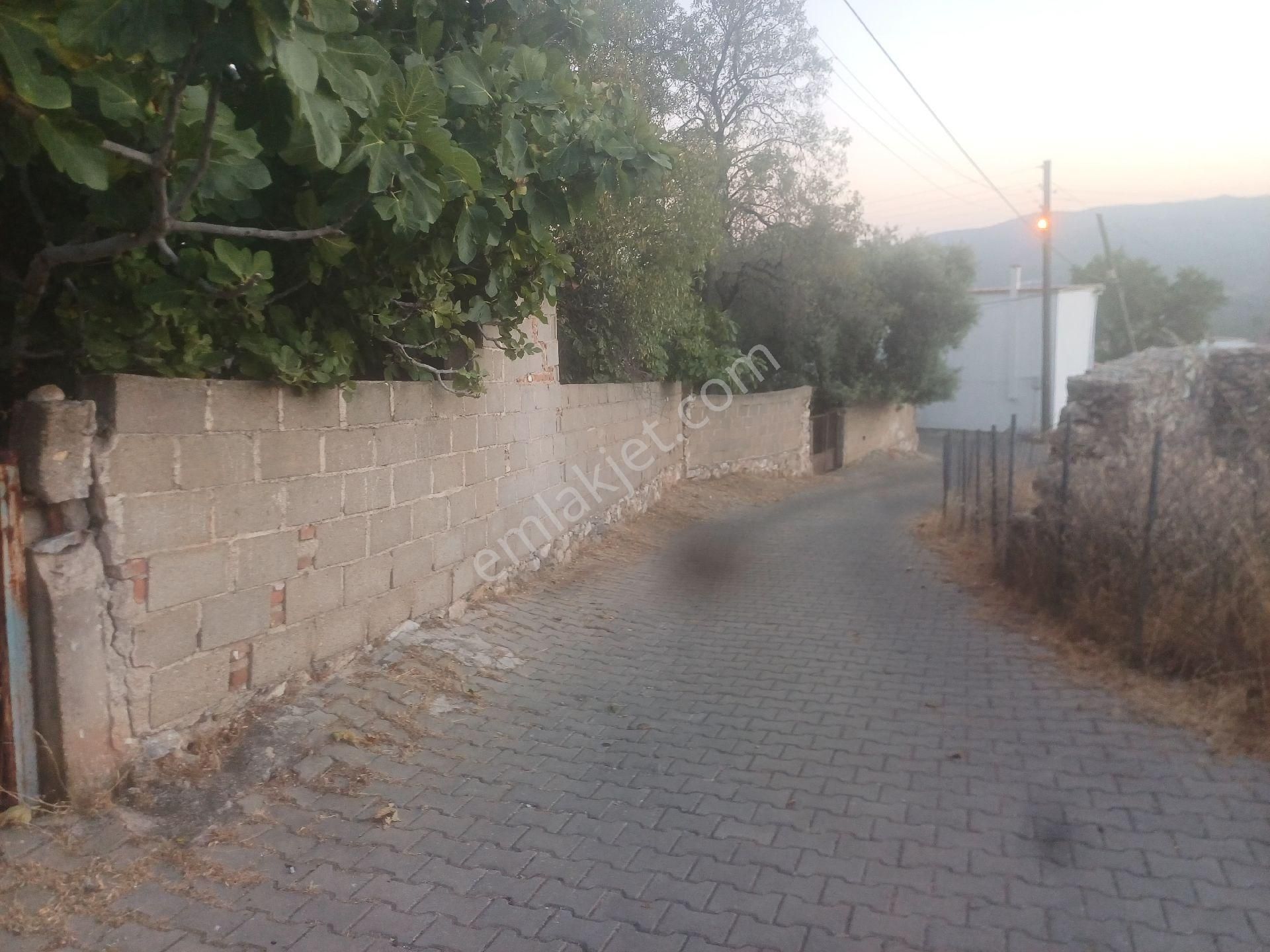 Milas Kazikli Mahallesinde Satilik Köy Evi - Görsel 22