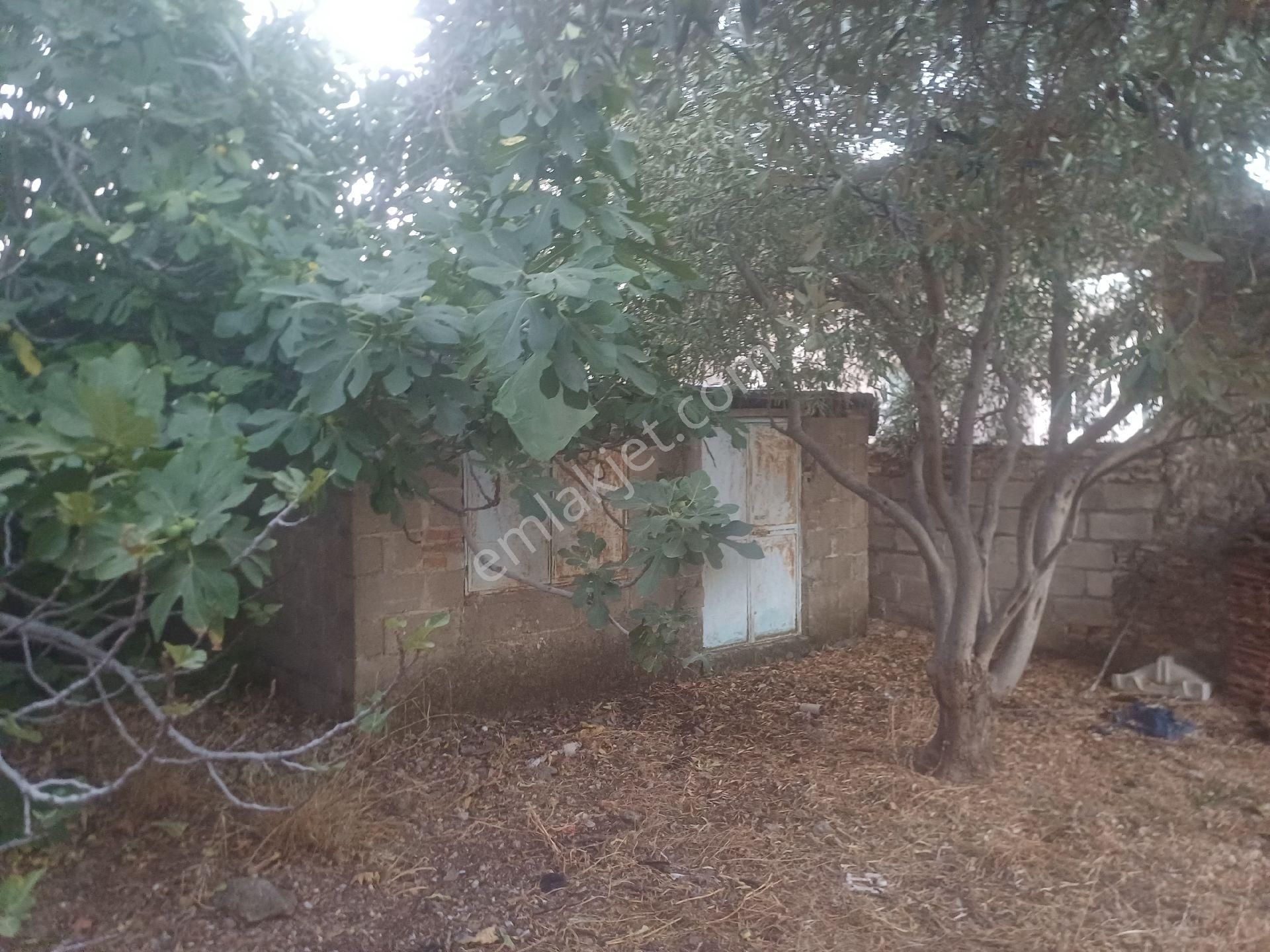 Milas Kazikli Mahallesinde Satilik Köy Evi - Görsel 10