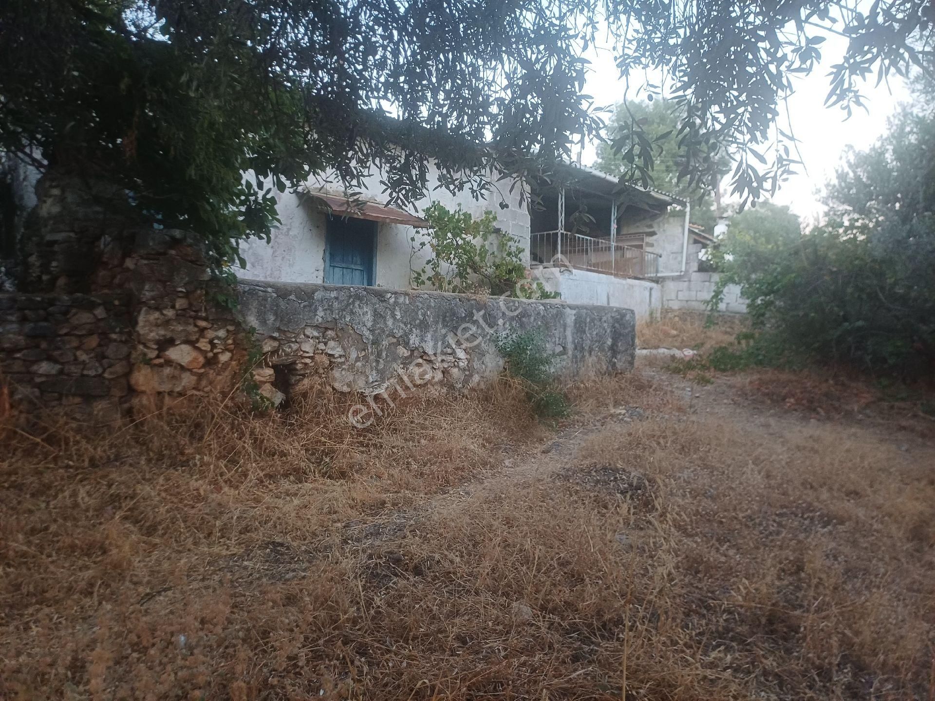 Milas Kazikli Mahallesinde Satilik Köy Evi - Görsel 2