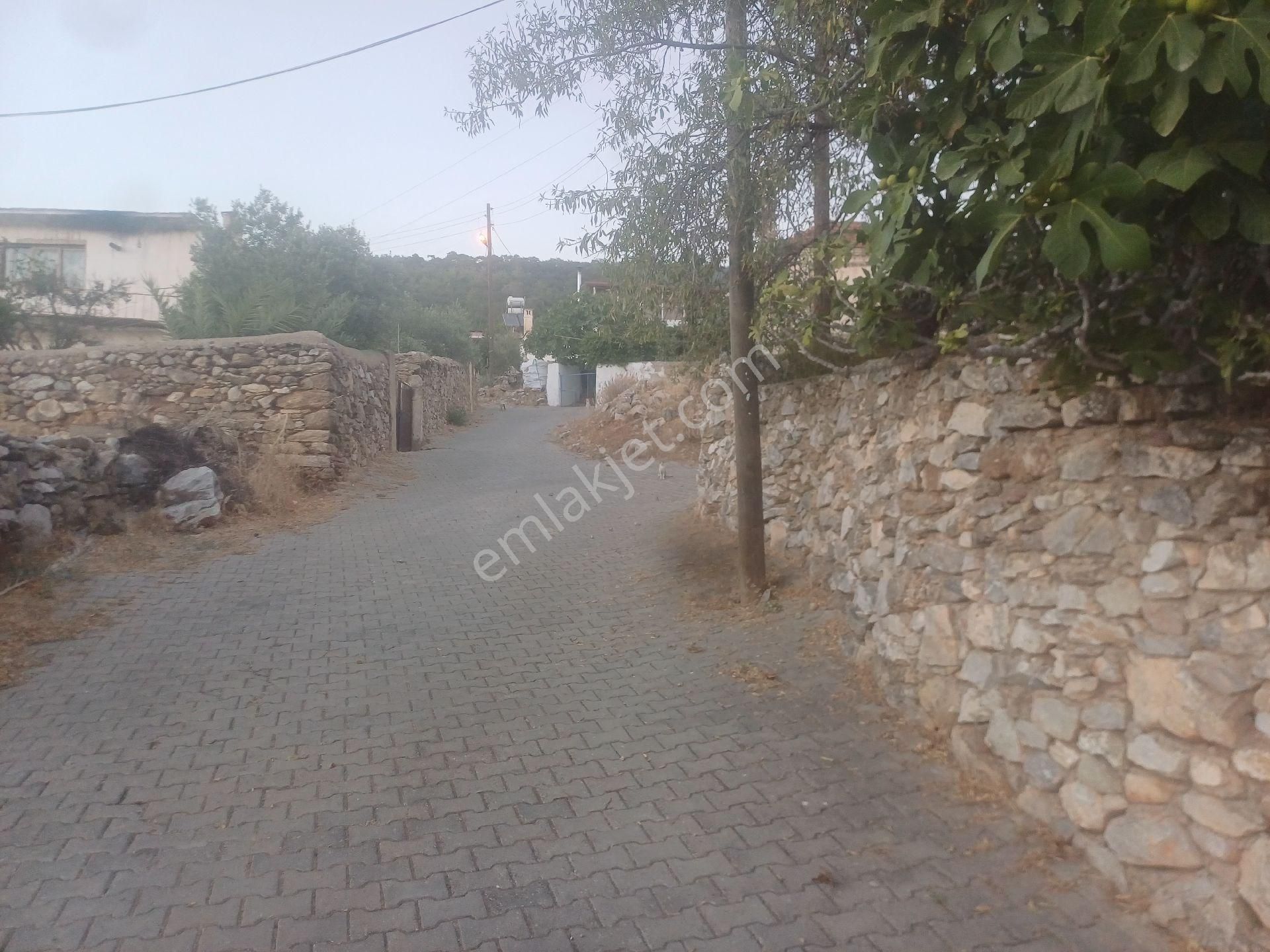 Milas Kazikli Mahallesinde Satilik Köy Evi - Görsel 21