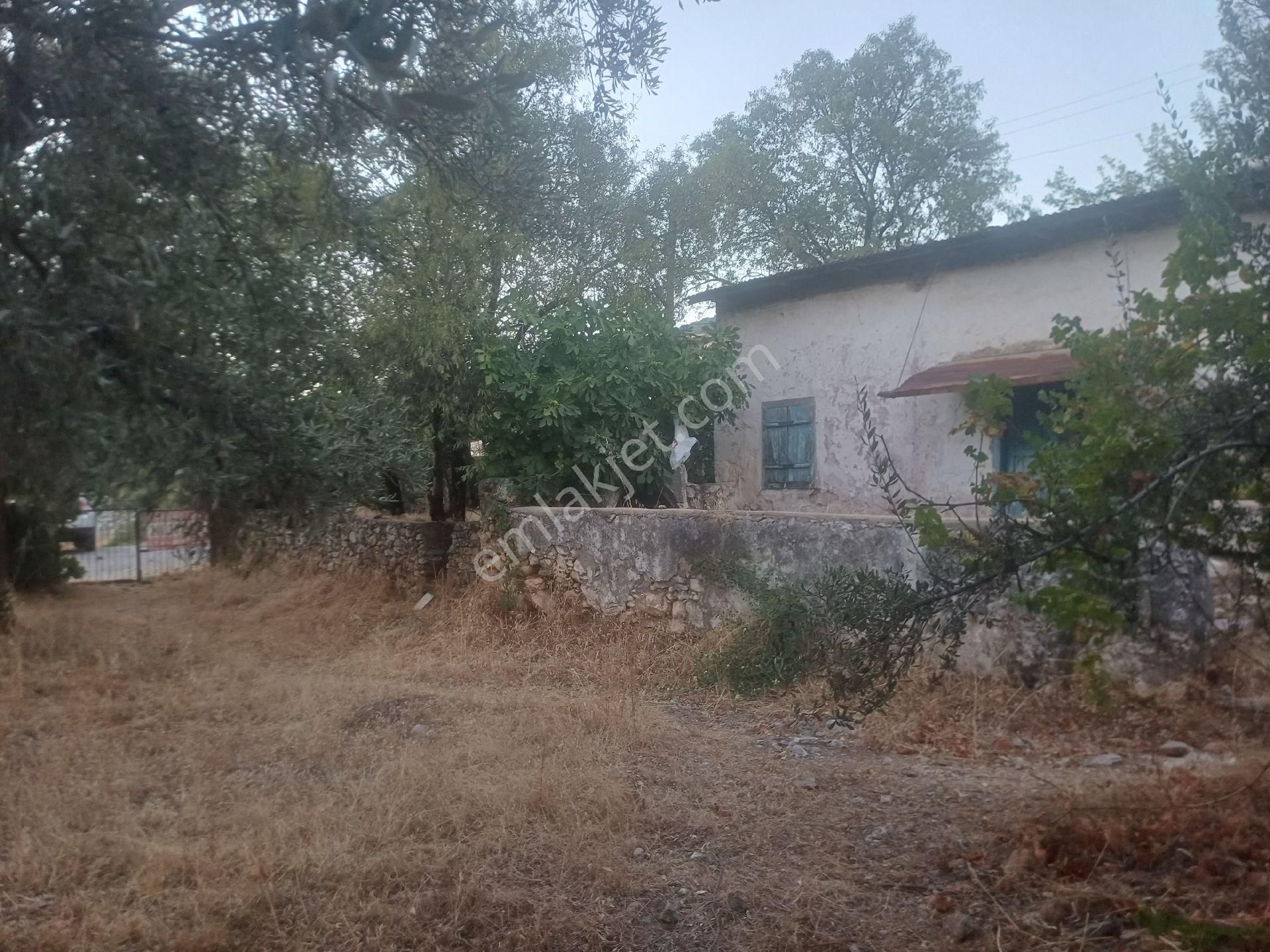 Milas Kazikli Mahallesinde Satilik Köy Evi - Görsel 9