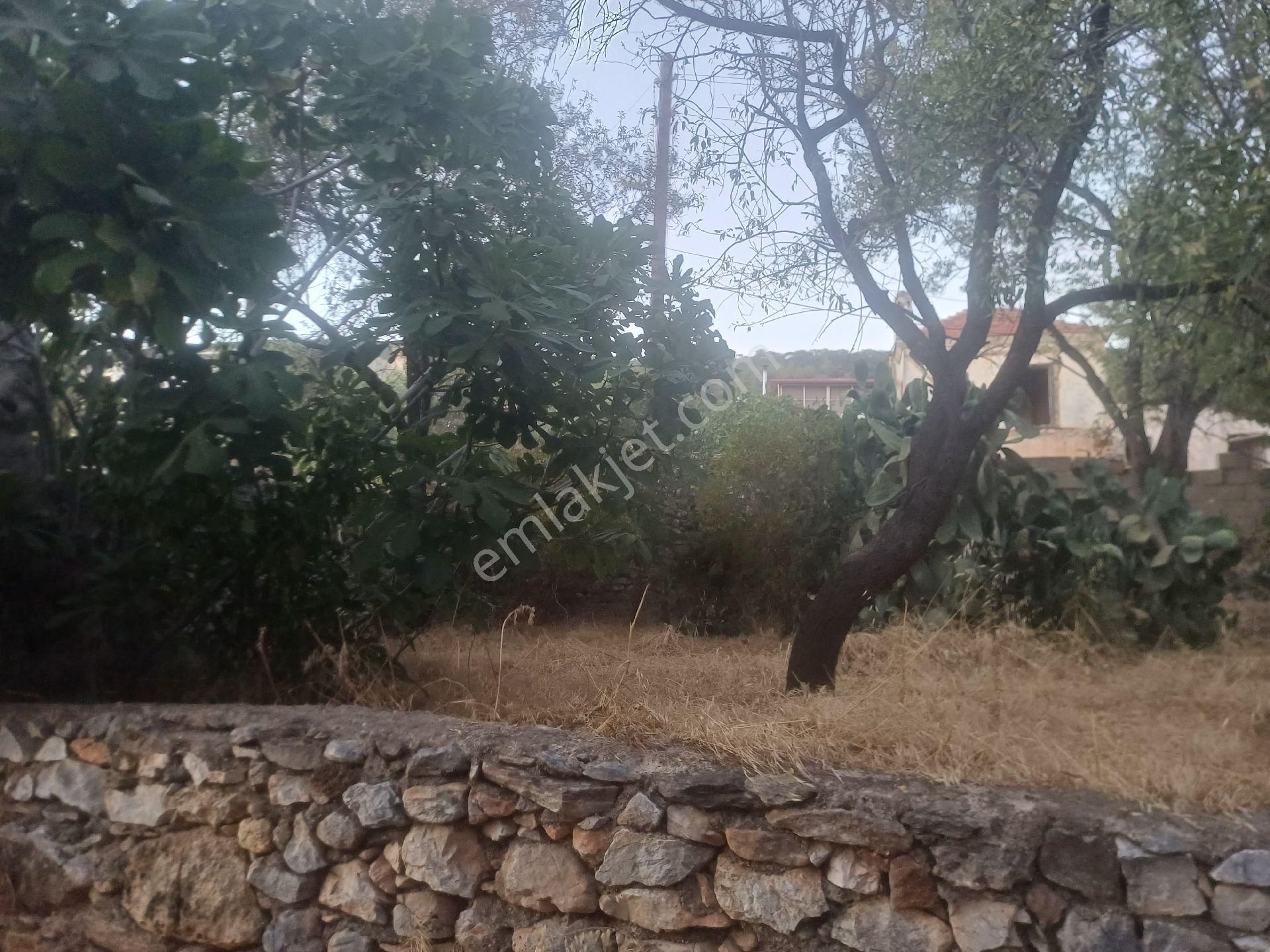 Milas Kazikli Mahallesinde Satilik Köy Evi - Görsel 20