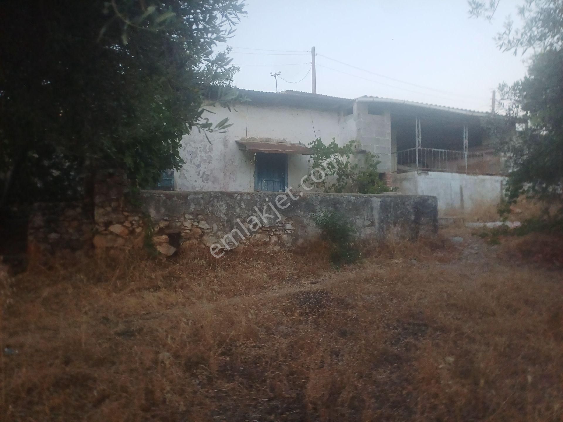 Milas Kazikli Mahallesinde Satilik Köy Evi - Görsel 5