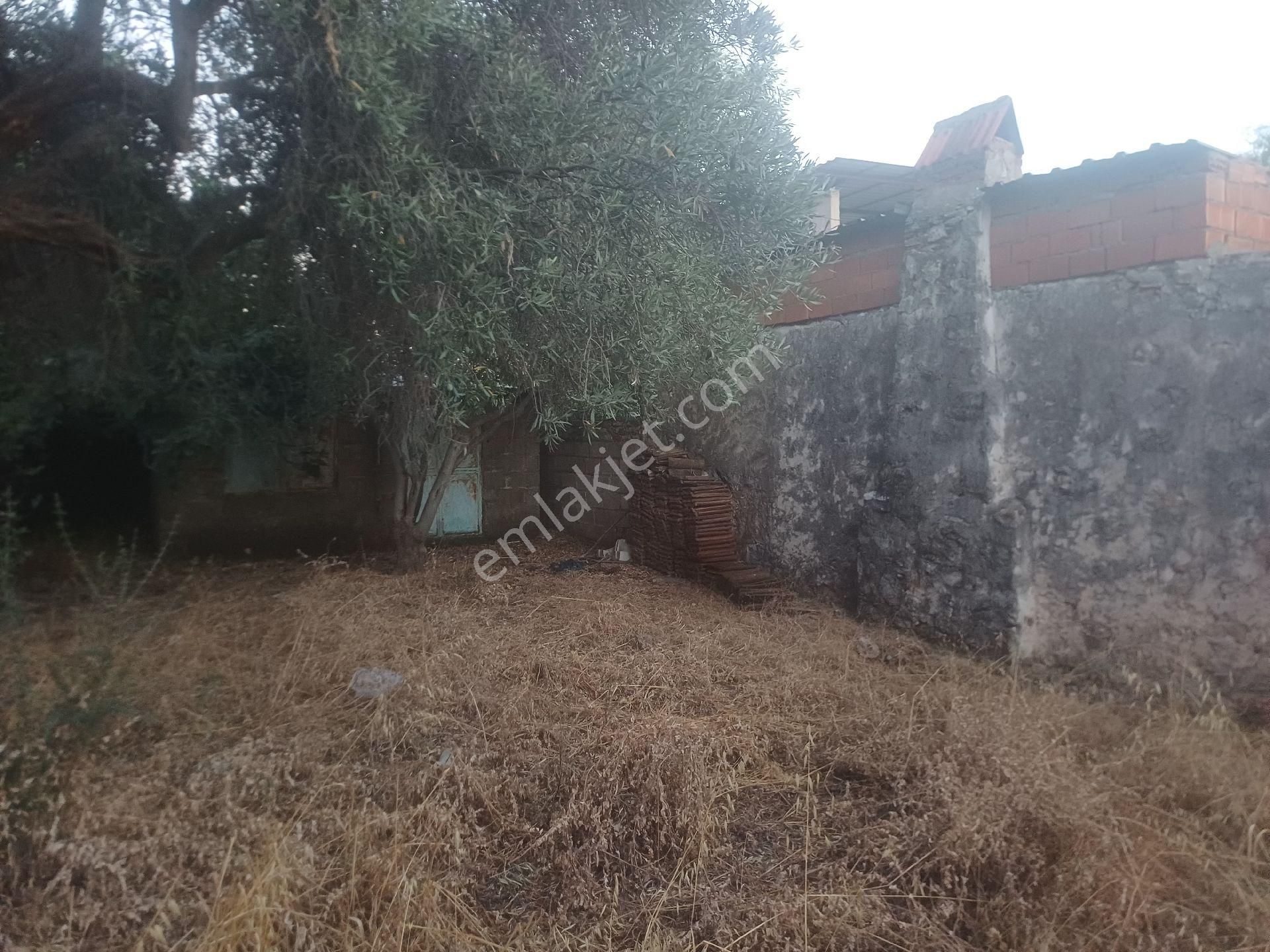 Milas Kazikli Mahallesinde Satilik Köy Evi - Görsel 7