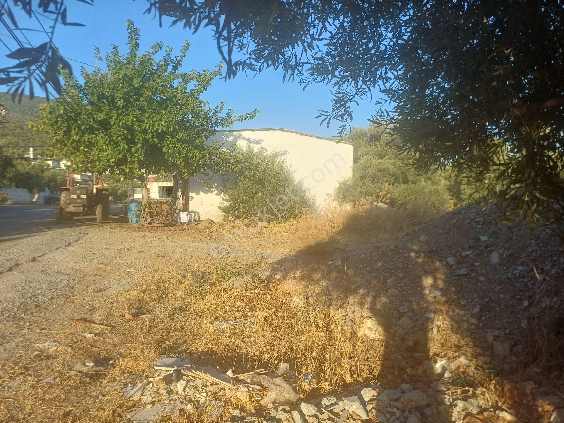 Milas Kazikli Mahallesinde Konut+ticari İmarlı Arsa - Görsel 13