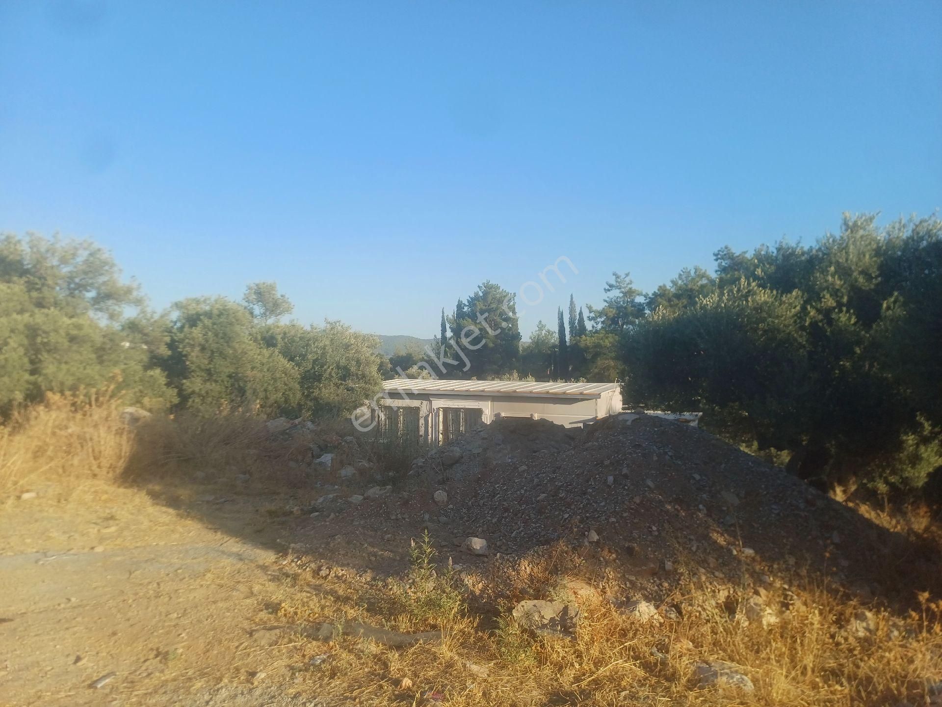 Milas Kazikli Mahallesinde Konut+ticari İmarlı Arsa - Görsel 15