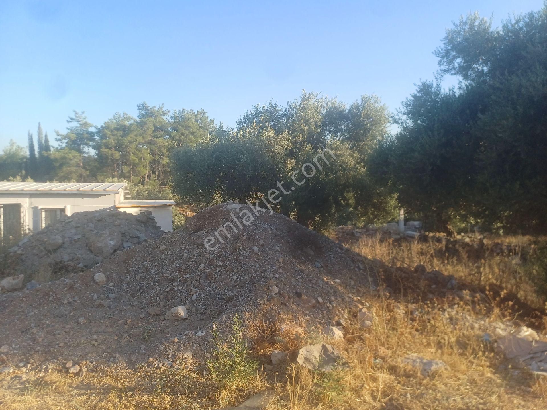 Milas Kazikli Mahallesinde Konut+ticari İmarlı Arsa - Görsel 3