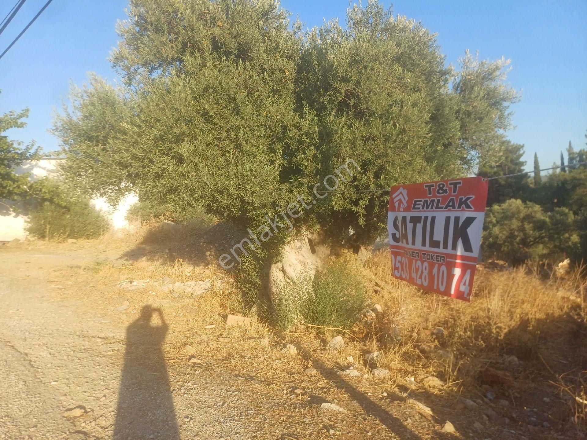 Milas Kazikli Mahallesinde Konut+ticari İmarlı Arsa - Görsel 16